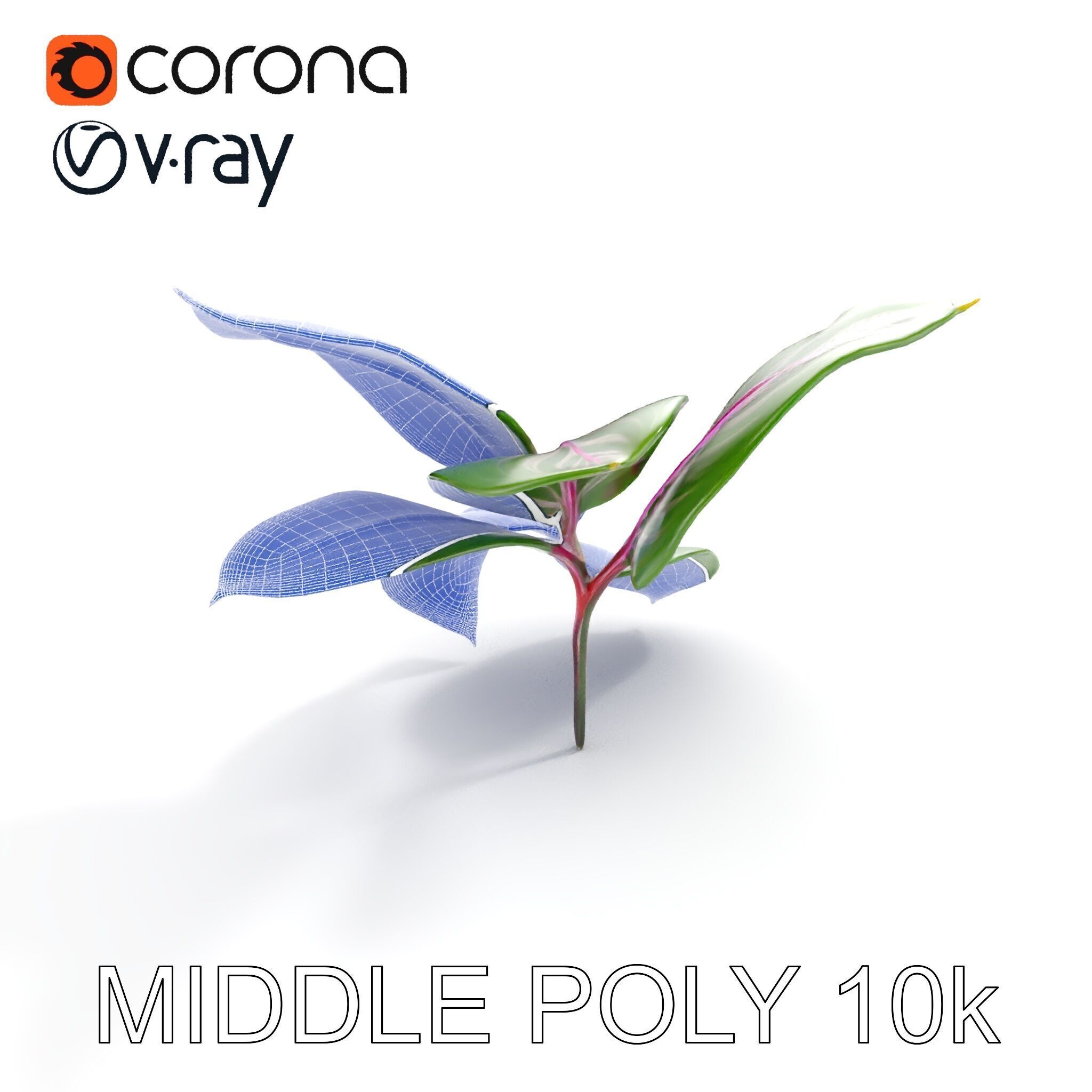 Tropical Plant Leaves Model Pack Low-poly 3D model_25