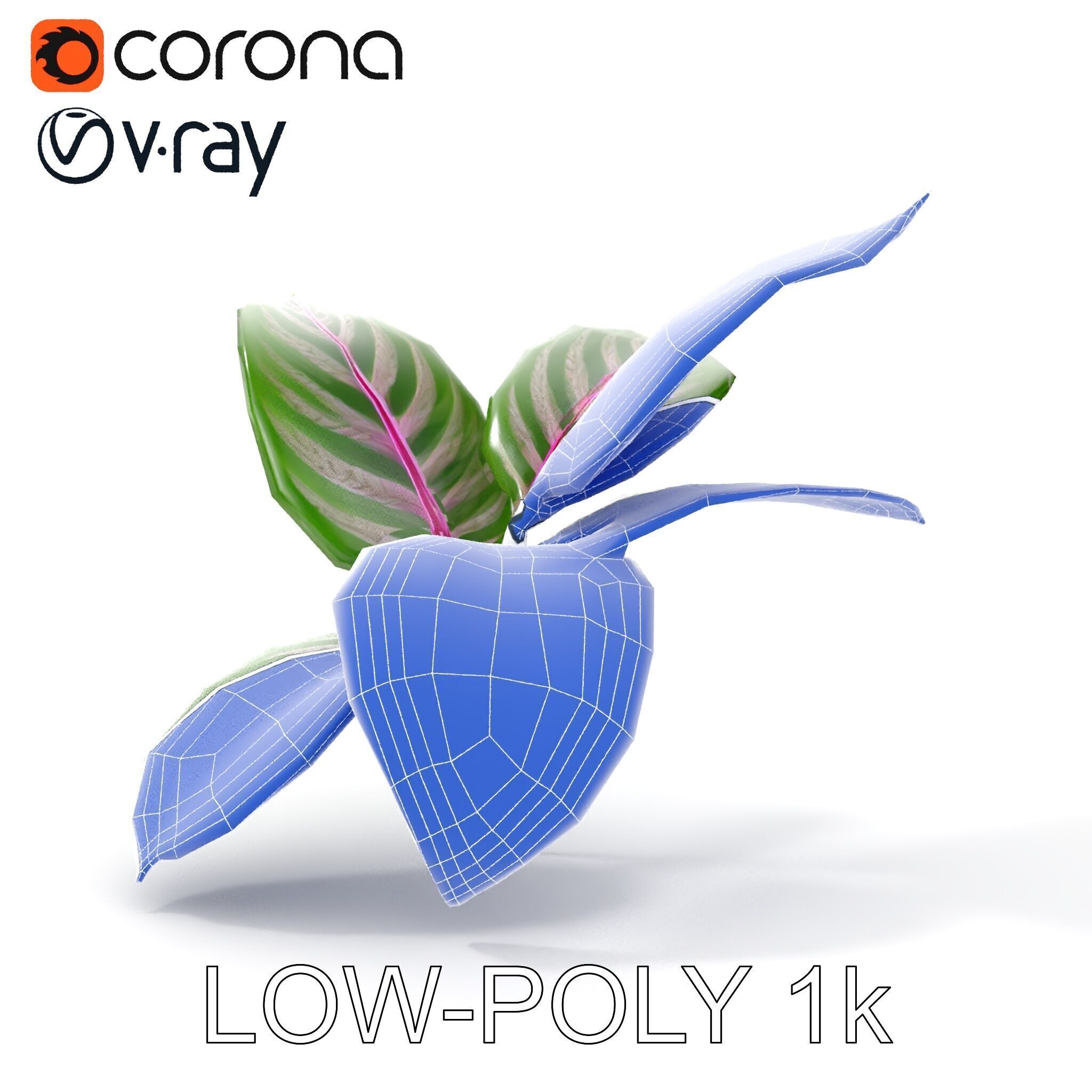 Tropical Plant Leaves Model Pack Low-poly 3D model_34