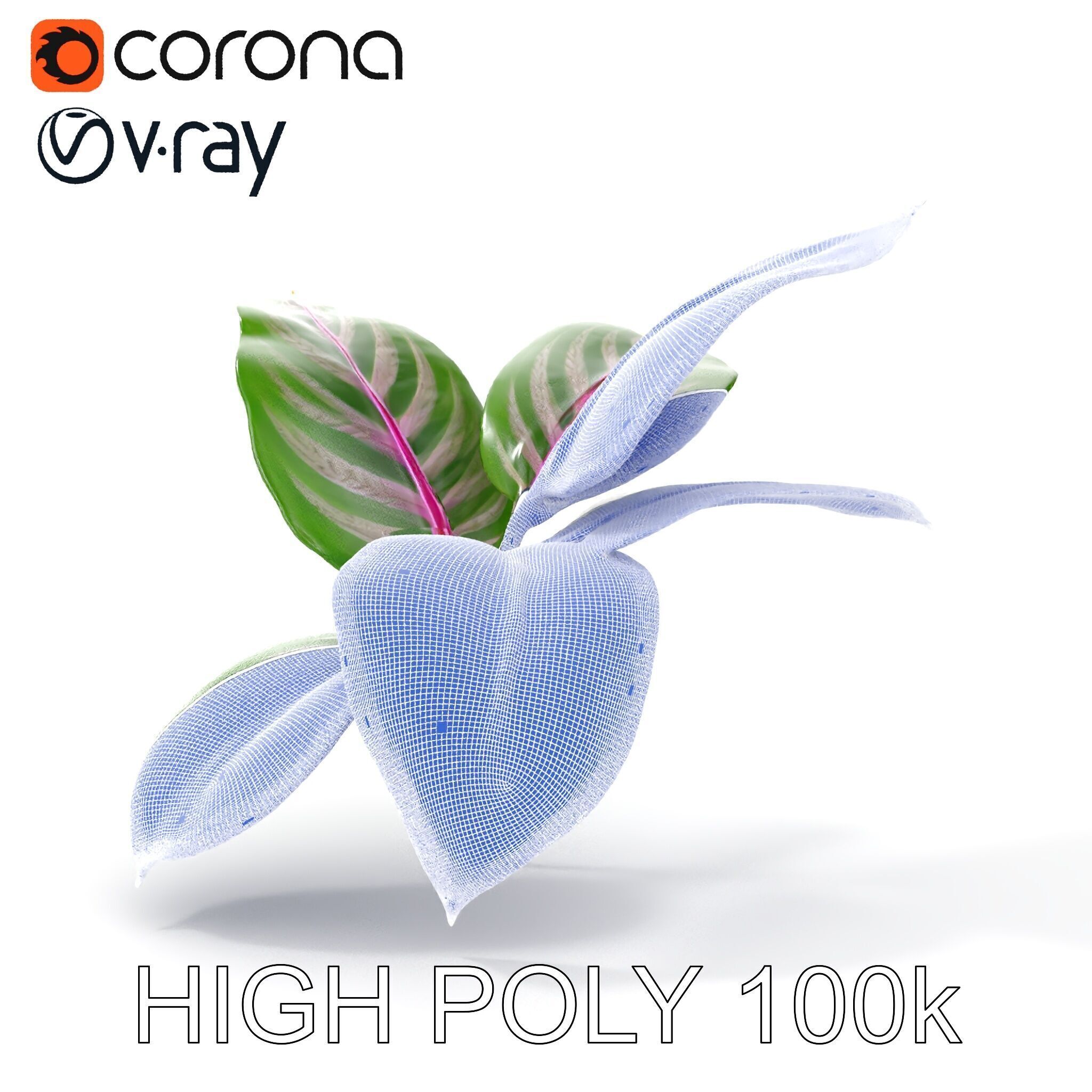 Tropical Plant Leaves Model Pack Low-poly 3D model_21