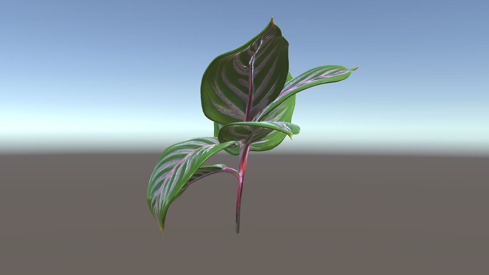 Tropical Plant Leaves Model Pack Low-poly 3D model_5