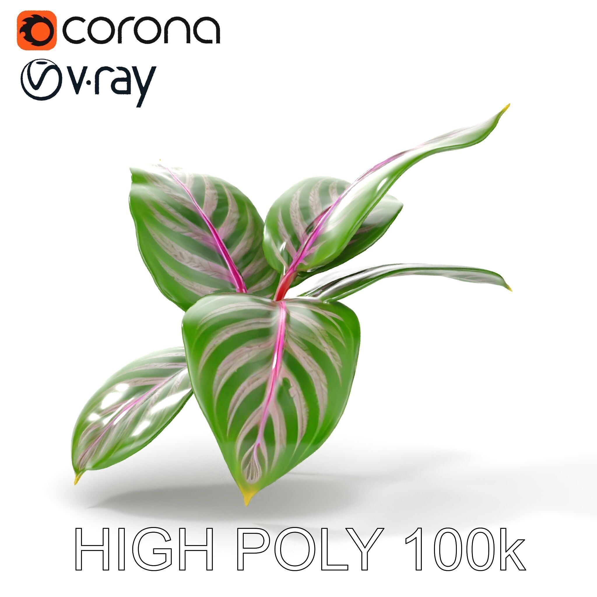 Tropical Plant Leaves Model Pack Low-poly 3D model_35