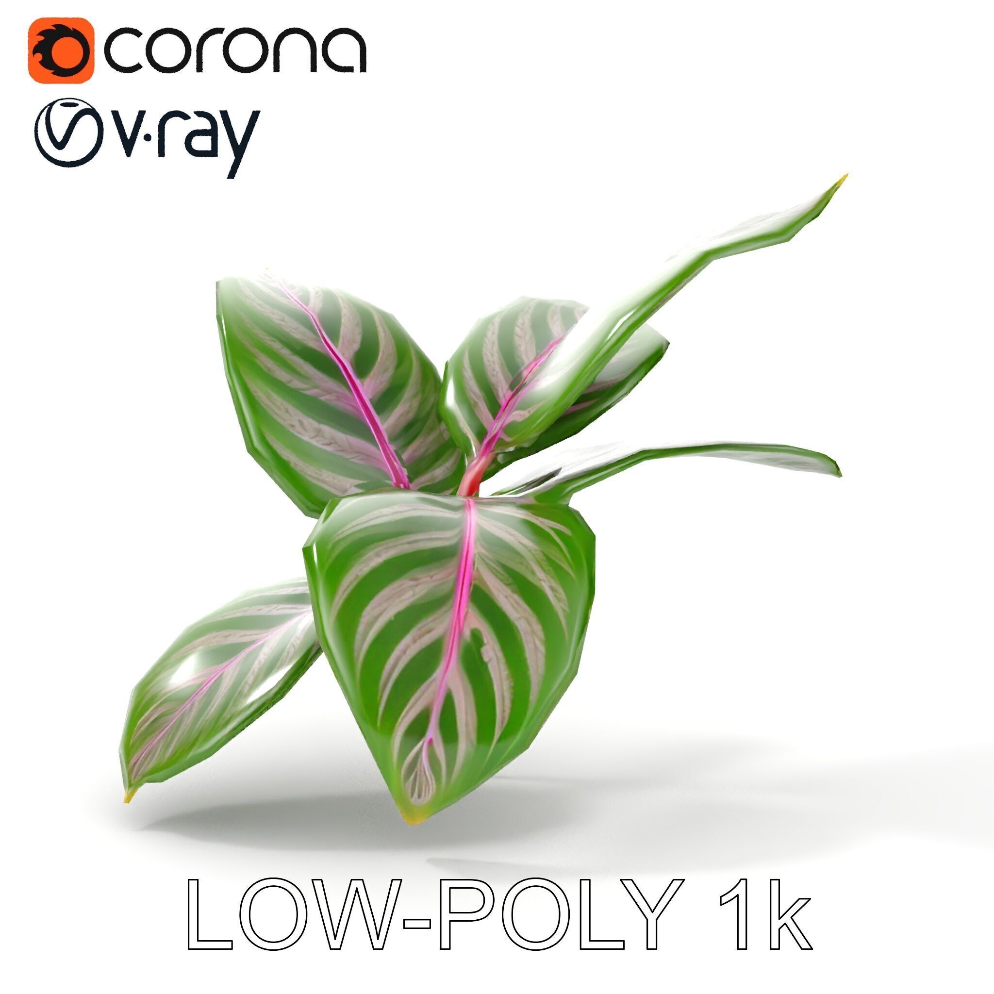 Tropical Plant Leaves Model Pack Low-poly 3D model_29