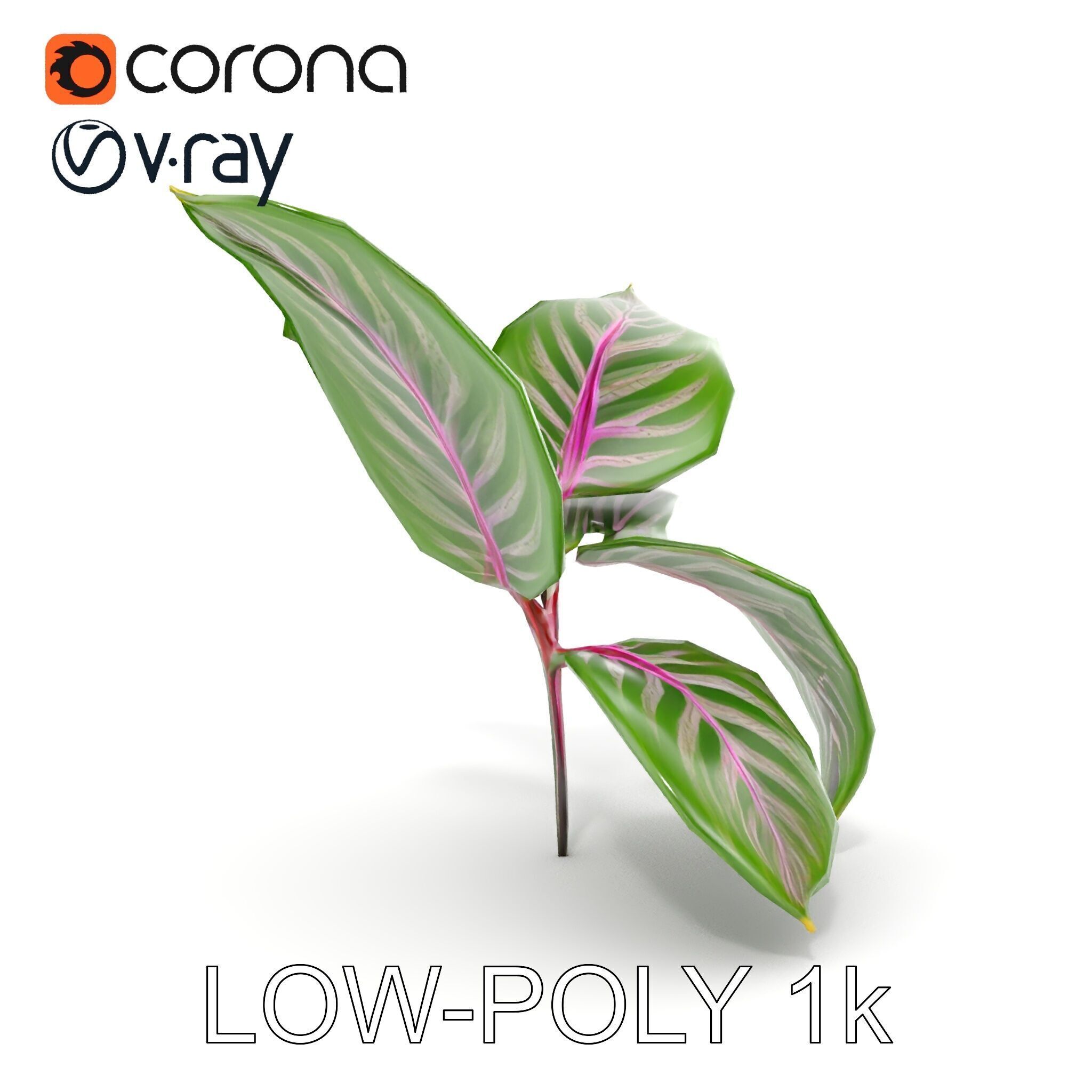 Tropical Plant Leaves Model Pack Low-poly 3D model_7