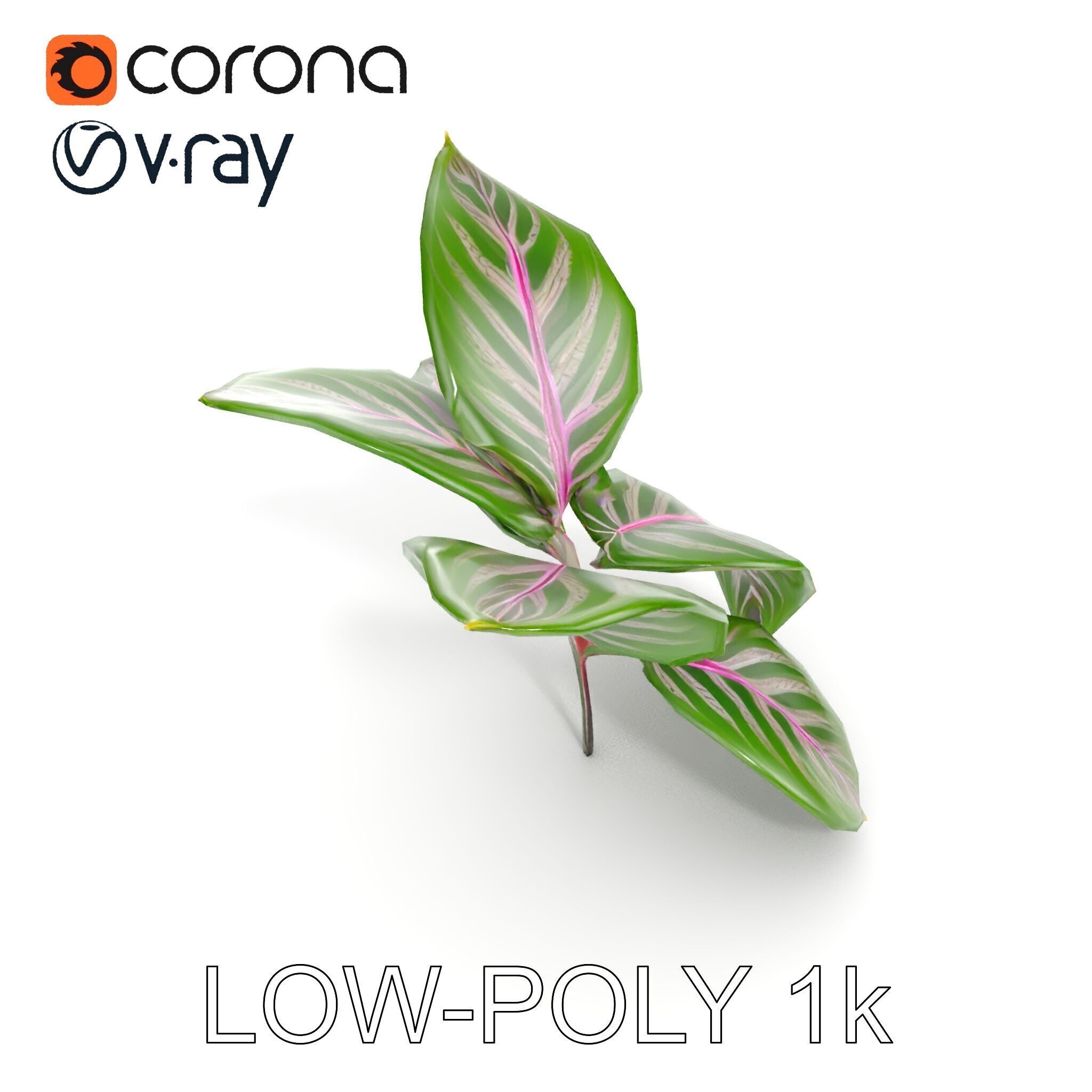 Tropical Plant Leaves Model Pack Low-poly 3D model_26