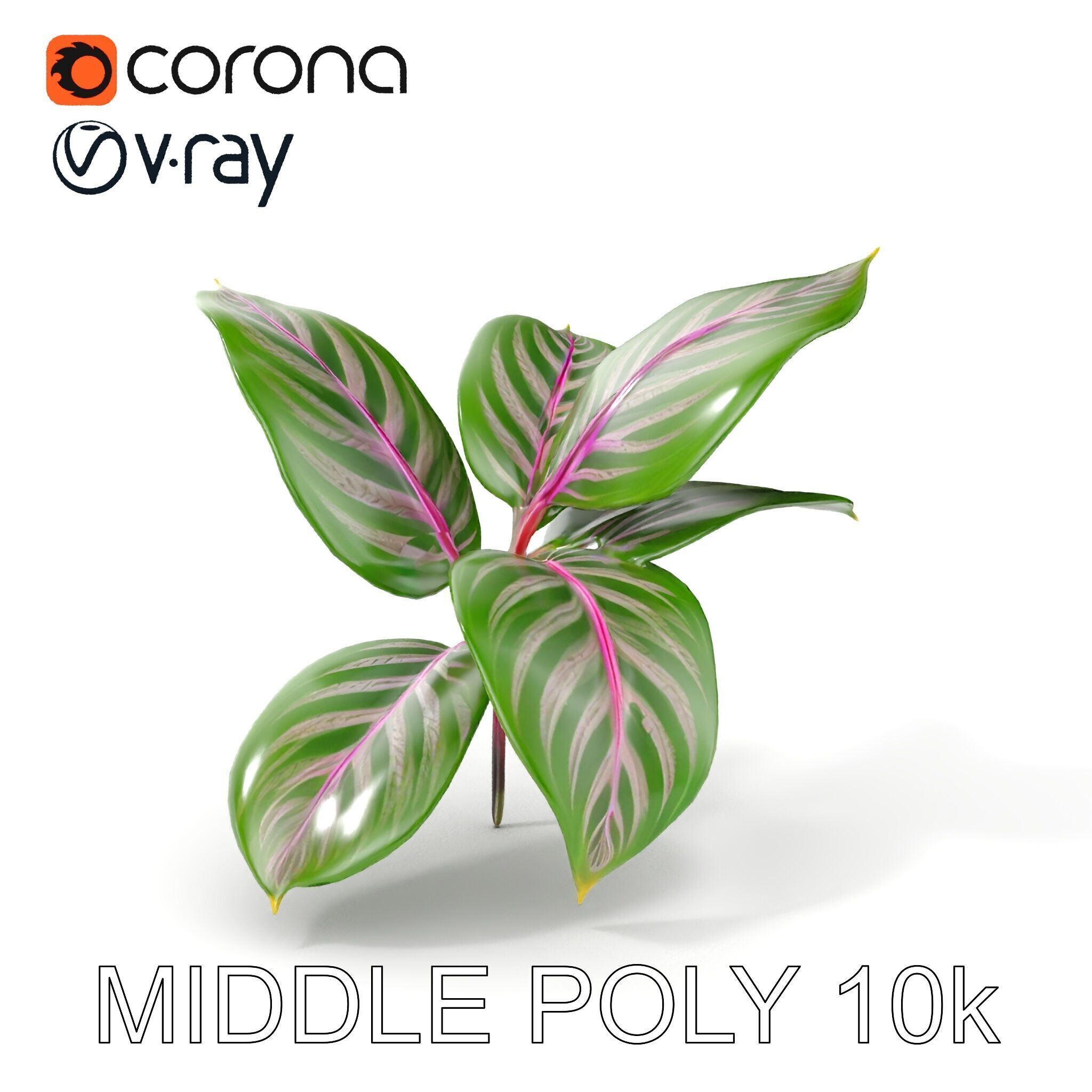 Tropical Plant Leaves Model Pack Low-poly 3D model_12