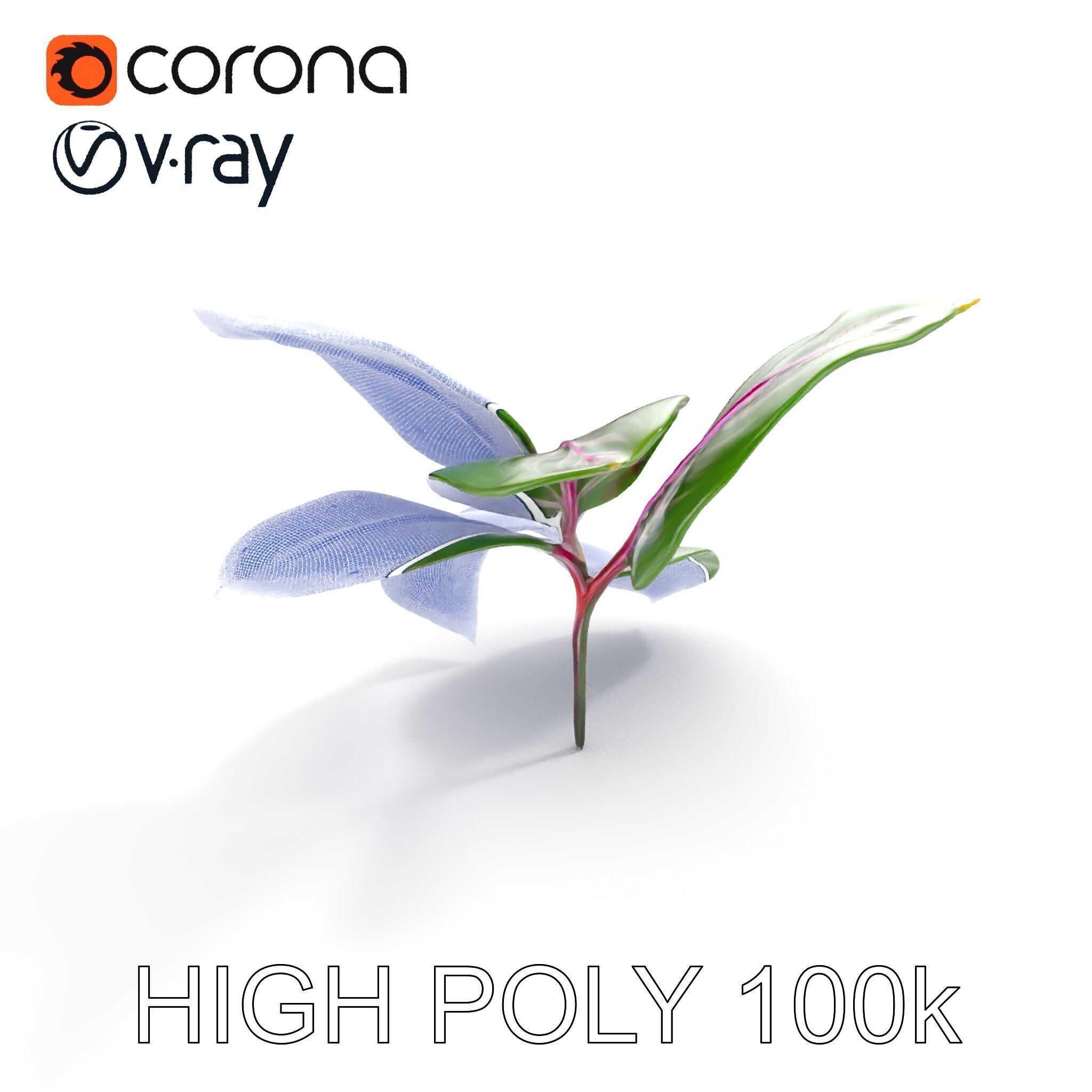 Tropical Plant Leaves Model Pack Low-poly 3D model_14