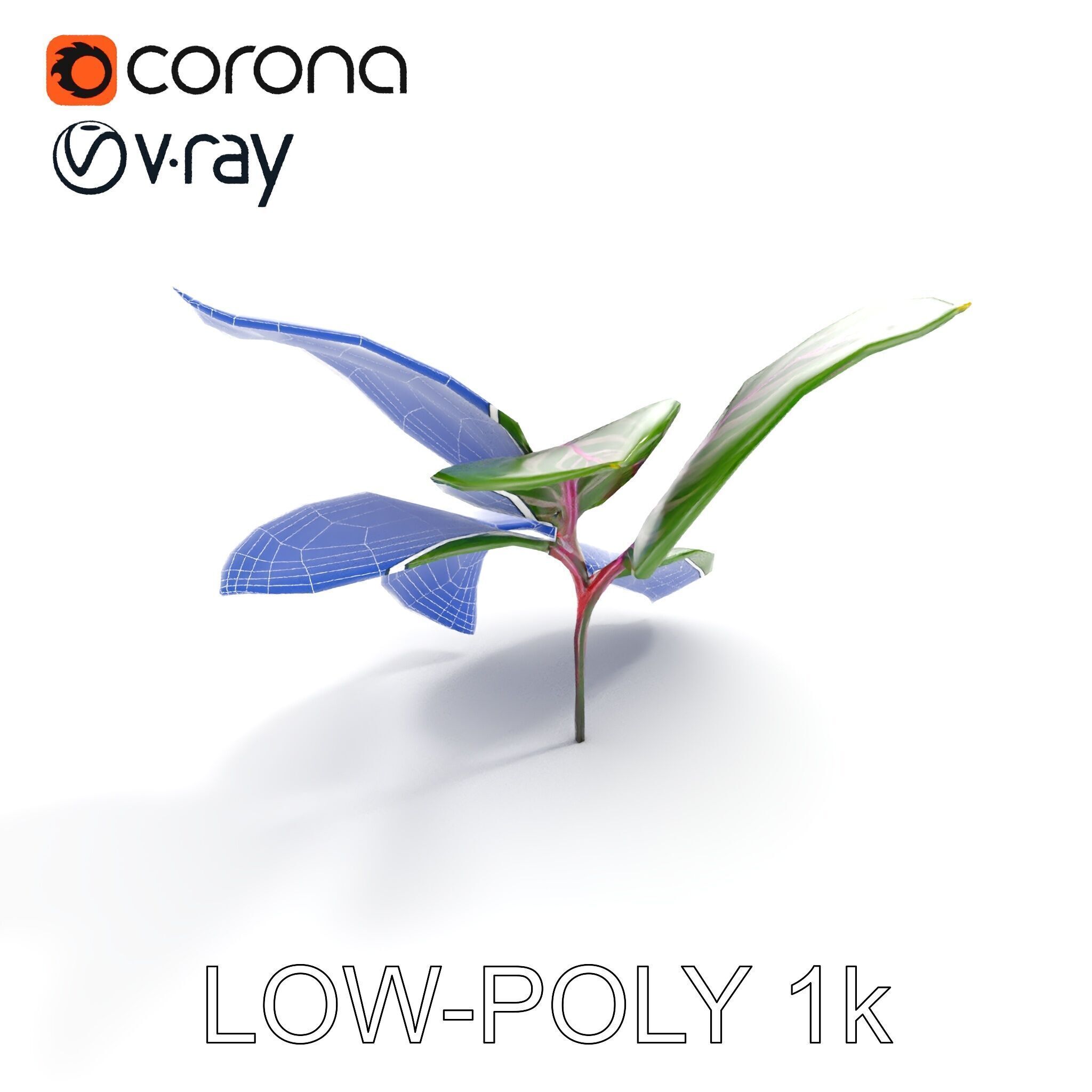 Tropical Plant Leaves Model Pack Low-poly 3D model_10