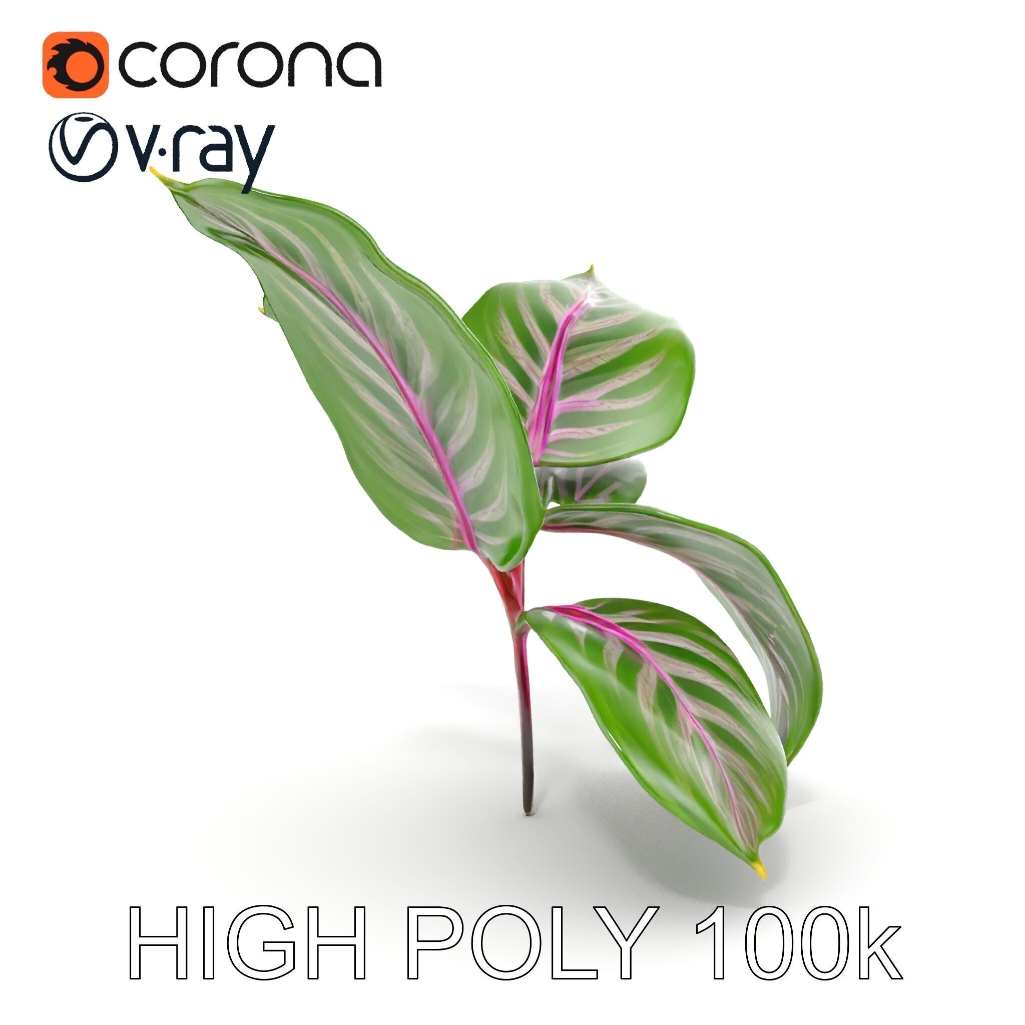 Tropical Plant Leaves Model Pack Low-poly 3D model_30