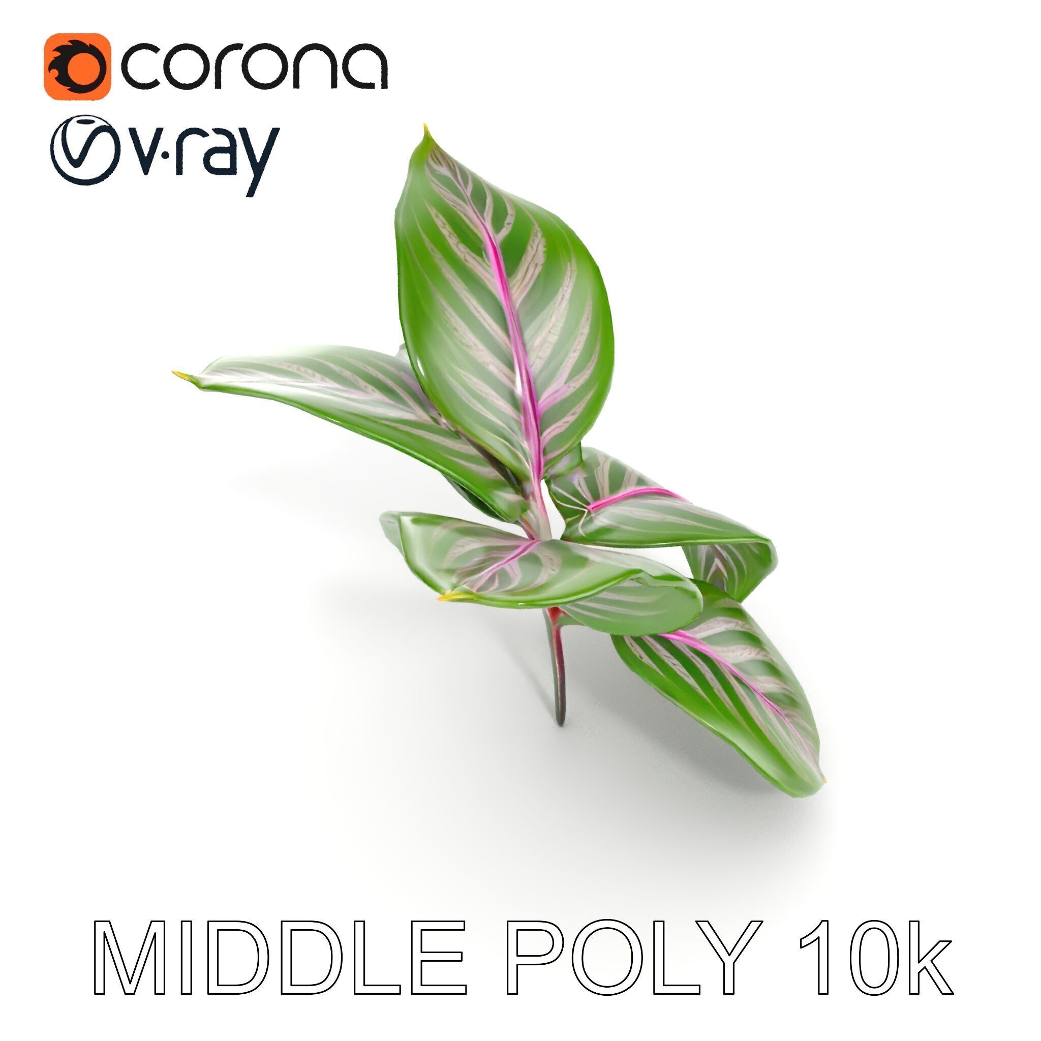 Tropical Plant Leaves Model Pack Low-poly 3D model_33