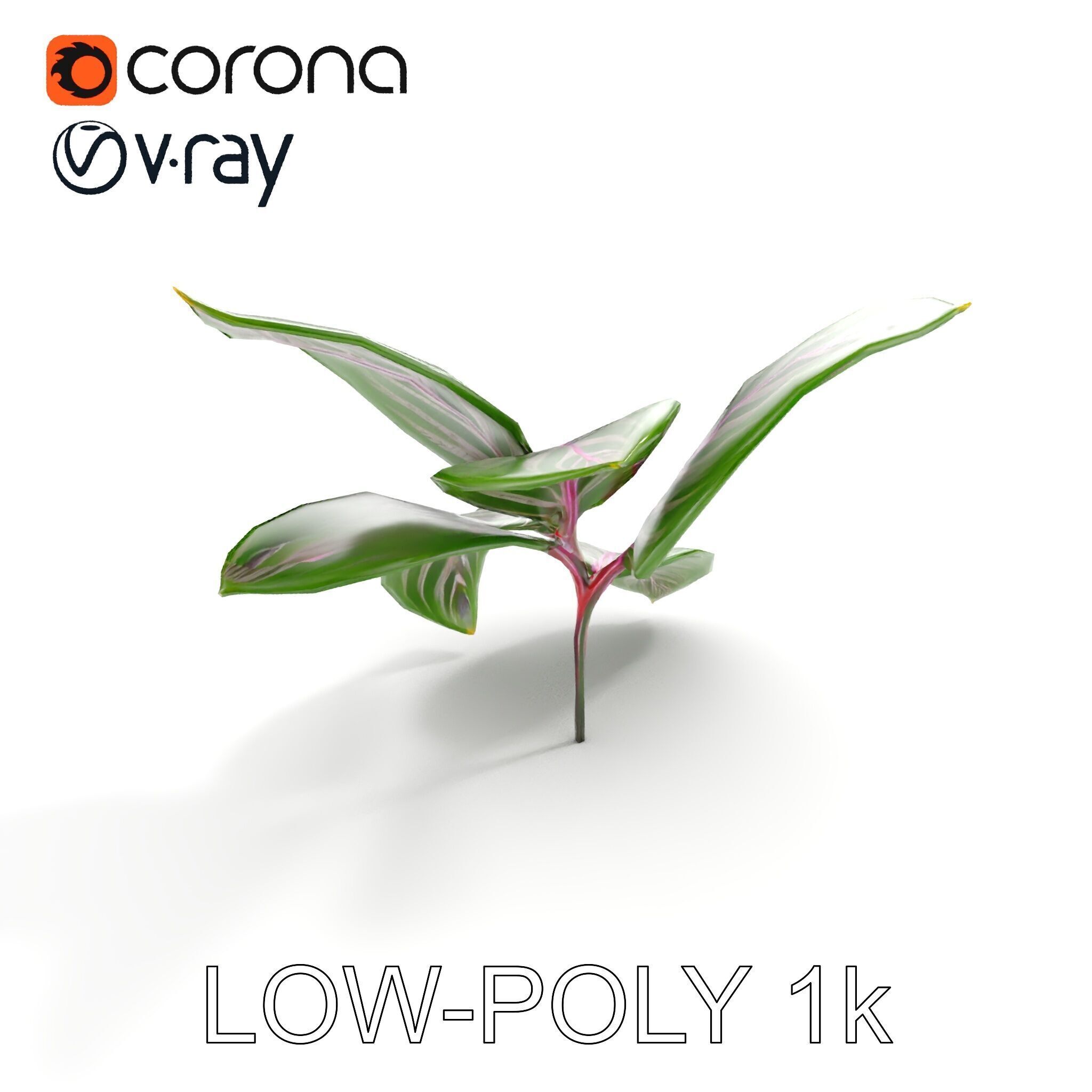 Tropical Plant Leaves Model Pack Low-poly 3D model_16