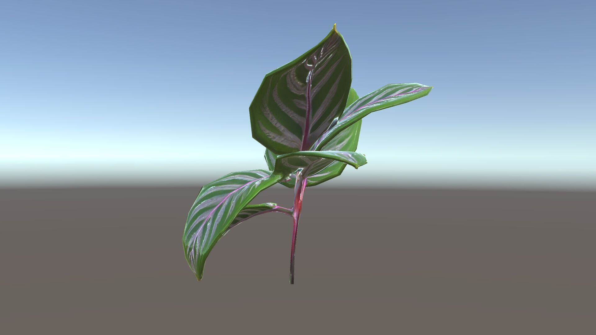 Tropical Plant Leaves Model Pack Low-poly 3D model_13