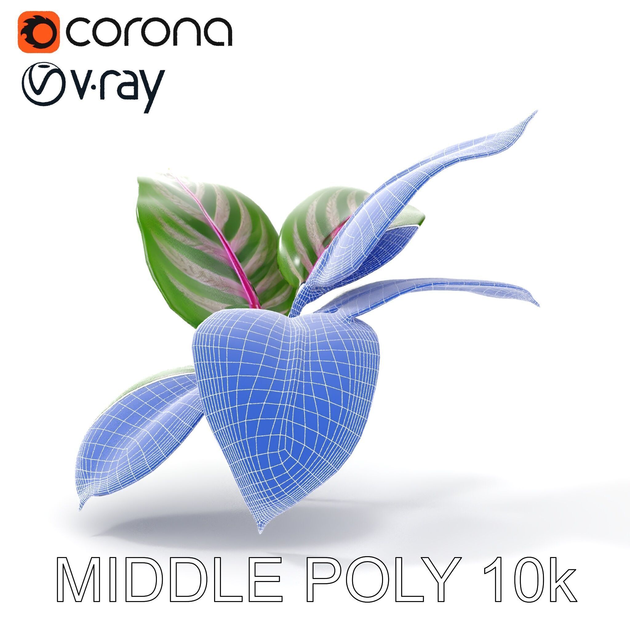 Tropical Plant Leaves Model Pack Low-poly 3D model_9