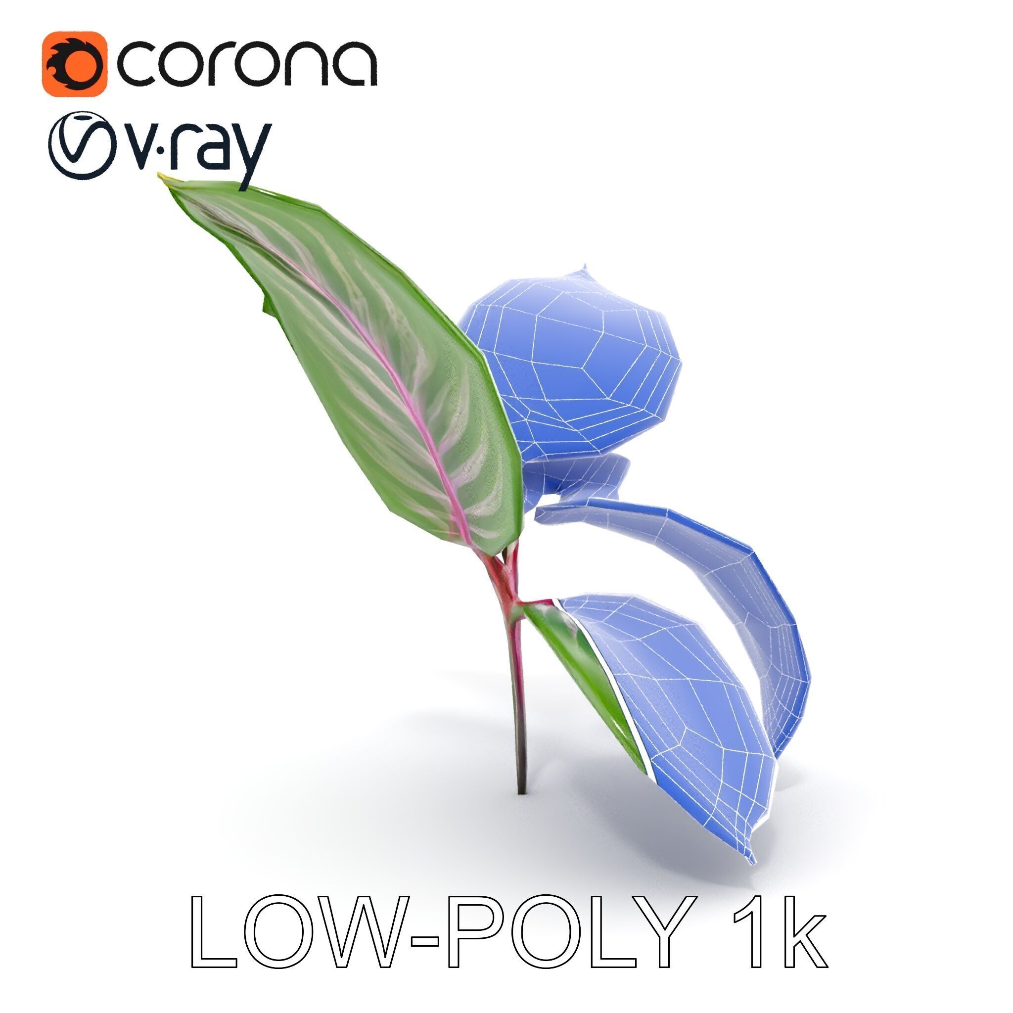 Tropical Plant Leaves Model Pack Low-poly 3D model_20