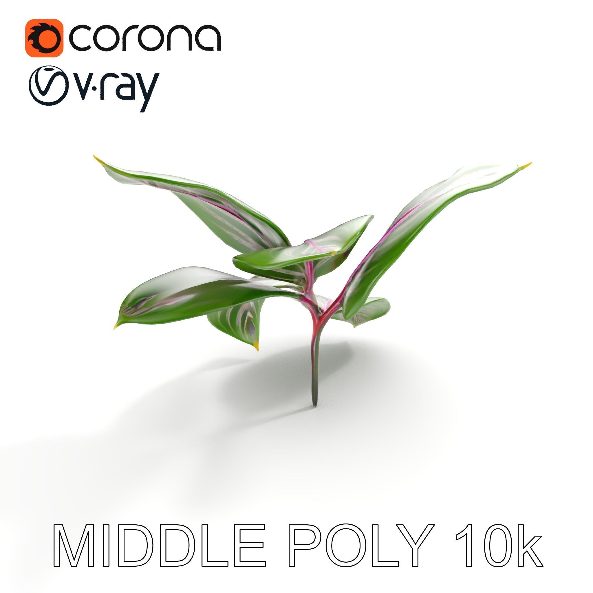 Tropical Plant Leaves Model Pack Low-poly 3D model_28