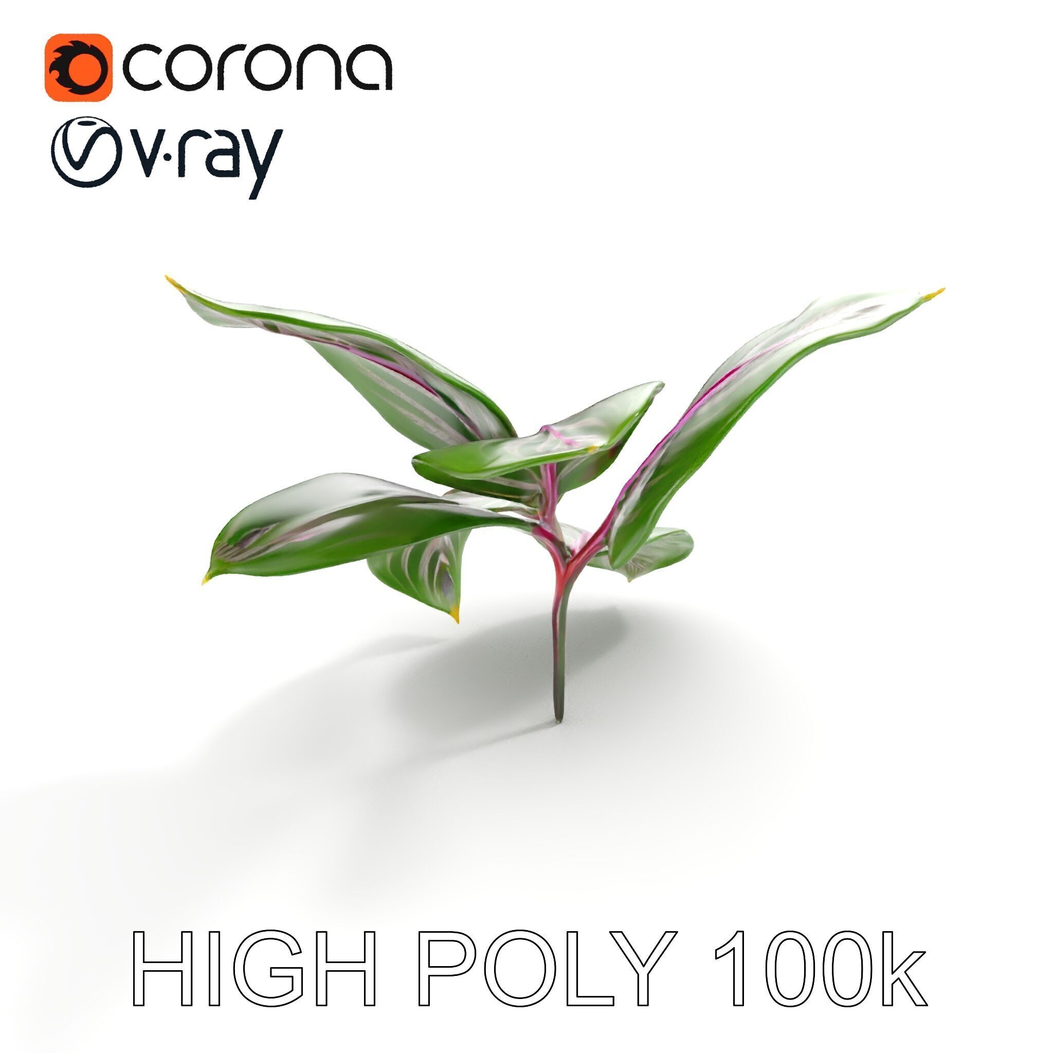 Tropical Plant Leaves Model Pack Low-poly 3D model_24