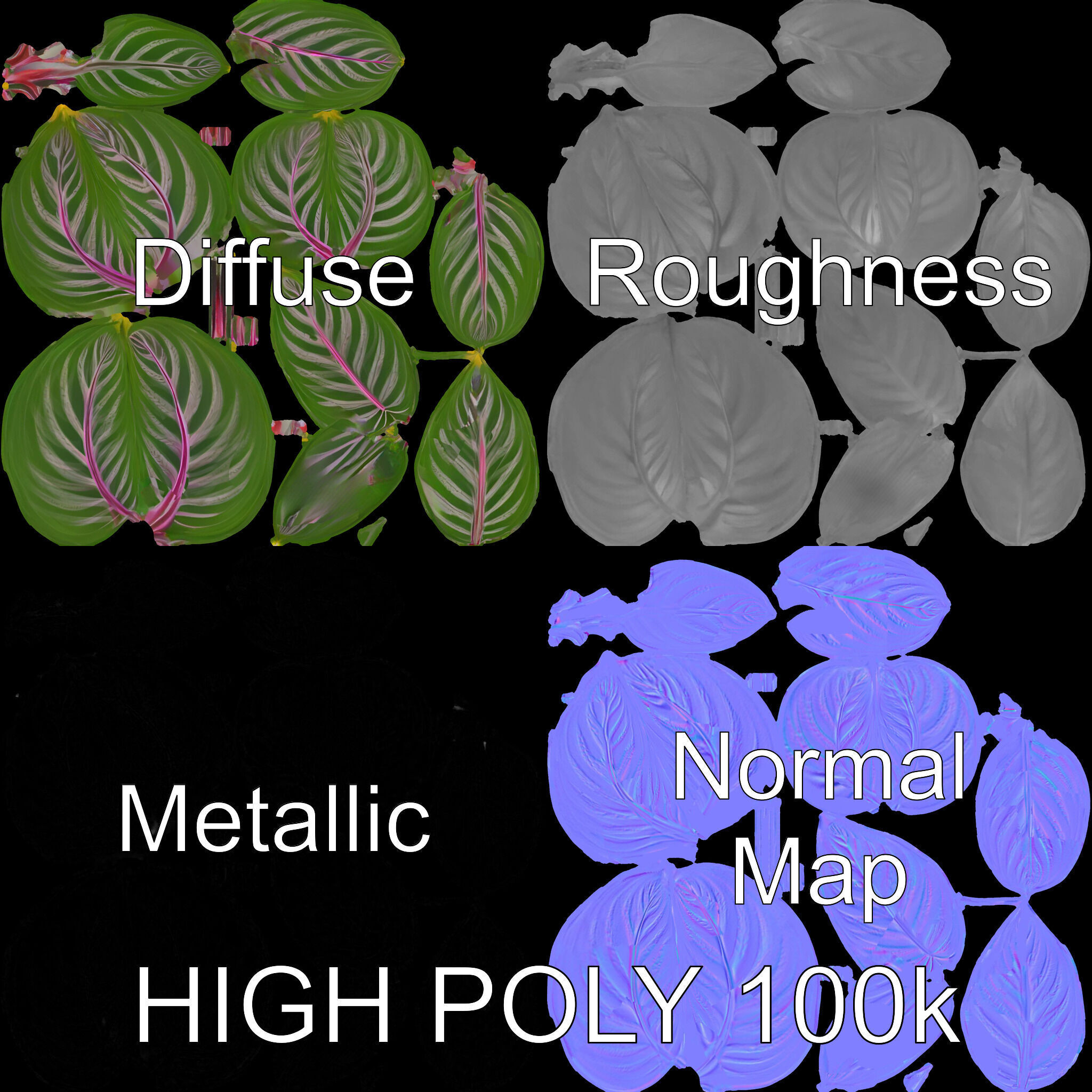 Tropical Plant Leaves Model Pack Low-poly 3D model_3