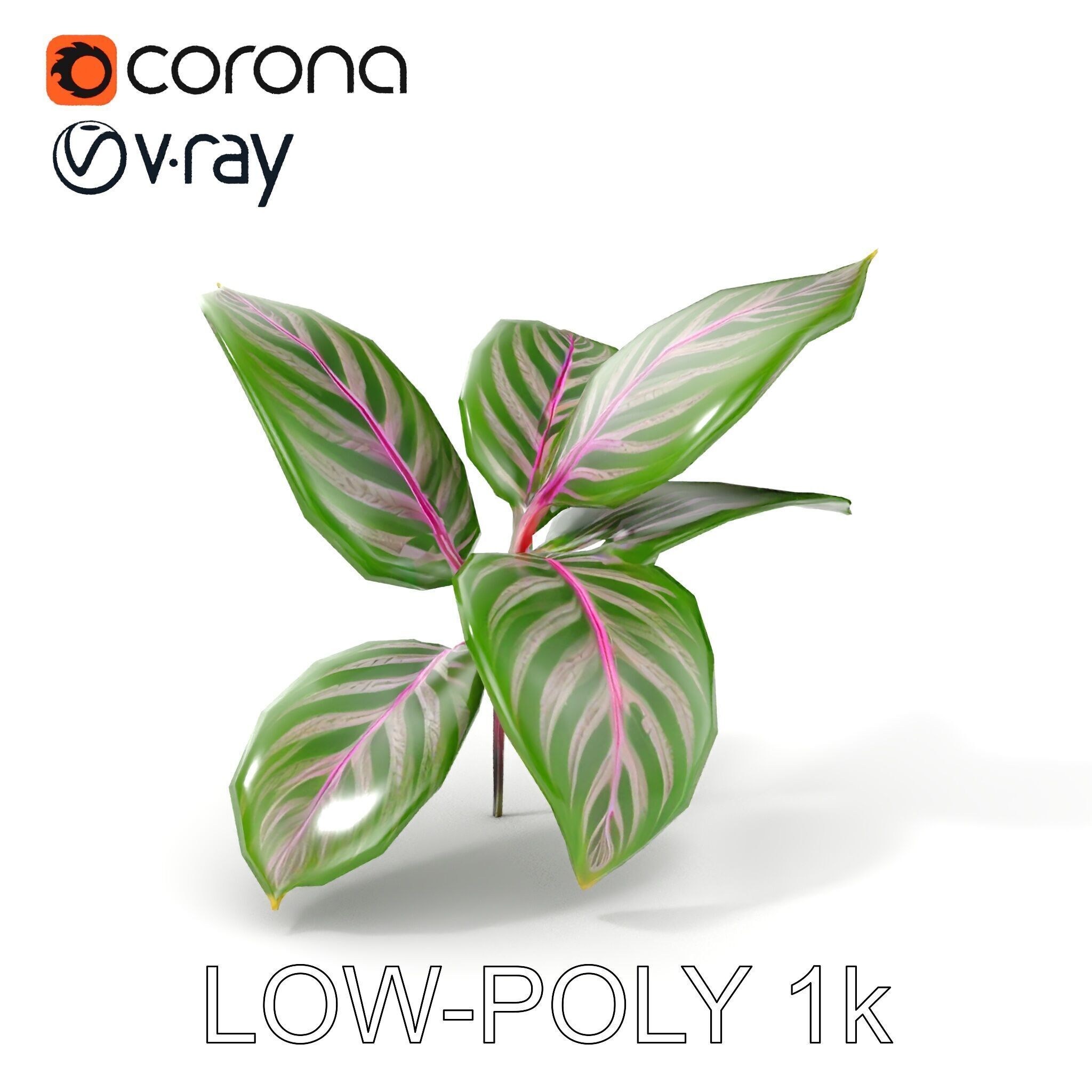 Tropical Plant Leaves Model Pack Low-poly 3D model_32