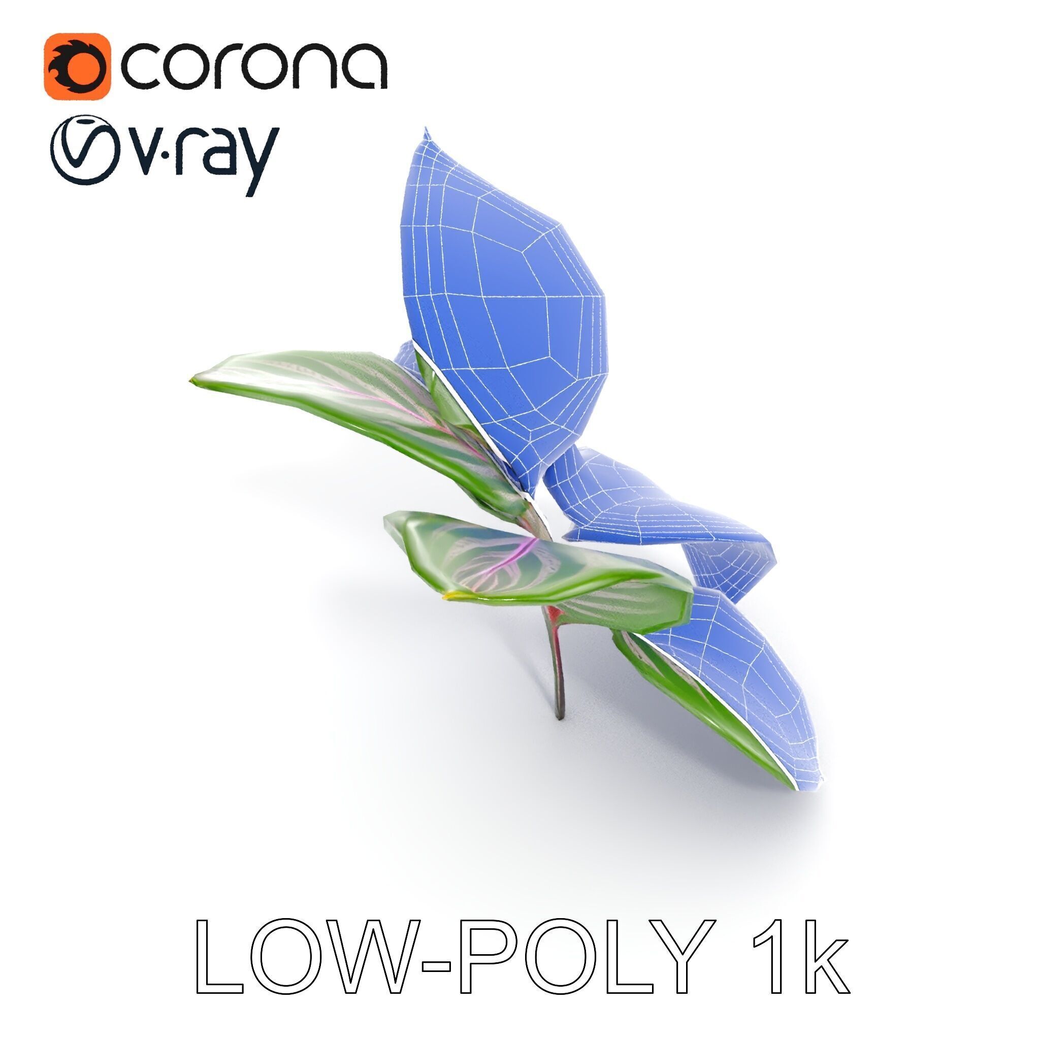 Tropical Plant Leaves Model Pack Low-poly 3D model_18