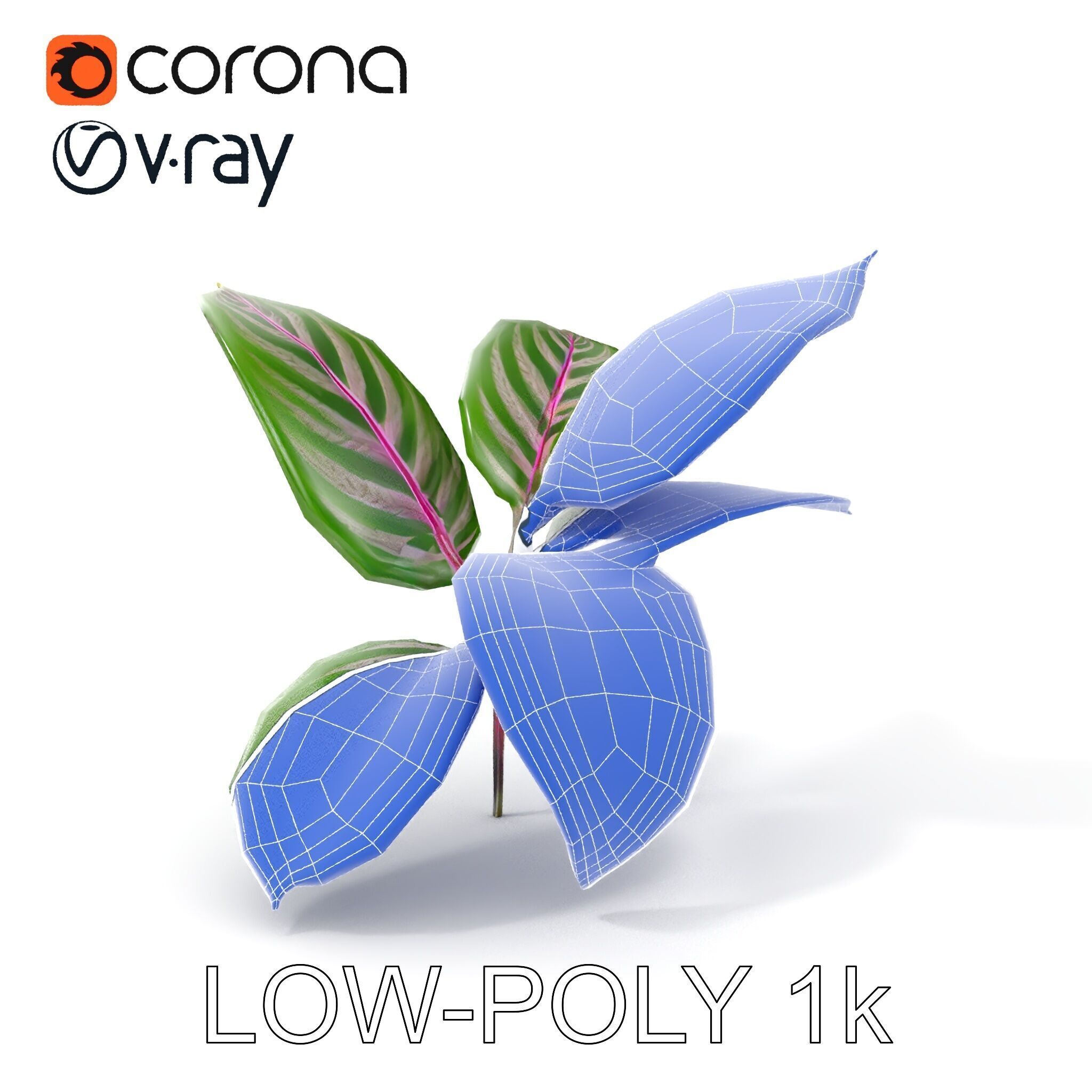 Tropical Plant Leaves Model Pack Low-poly 3D model_23