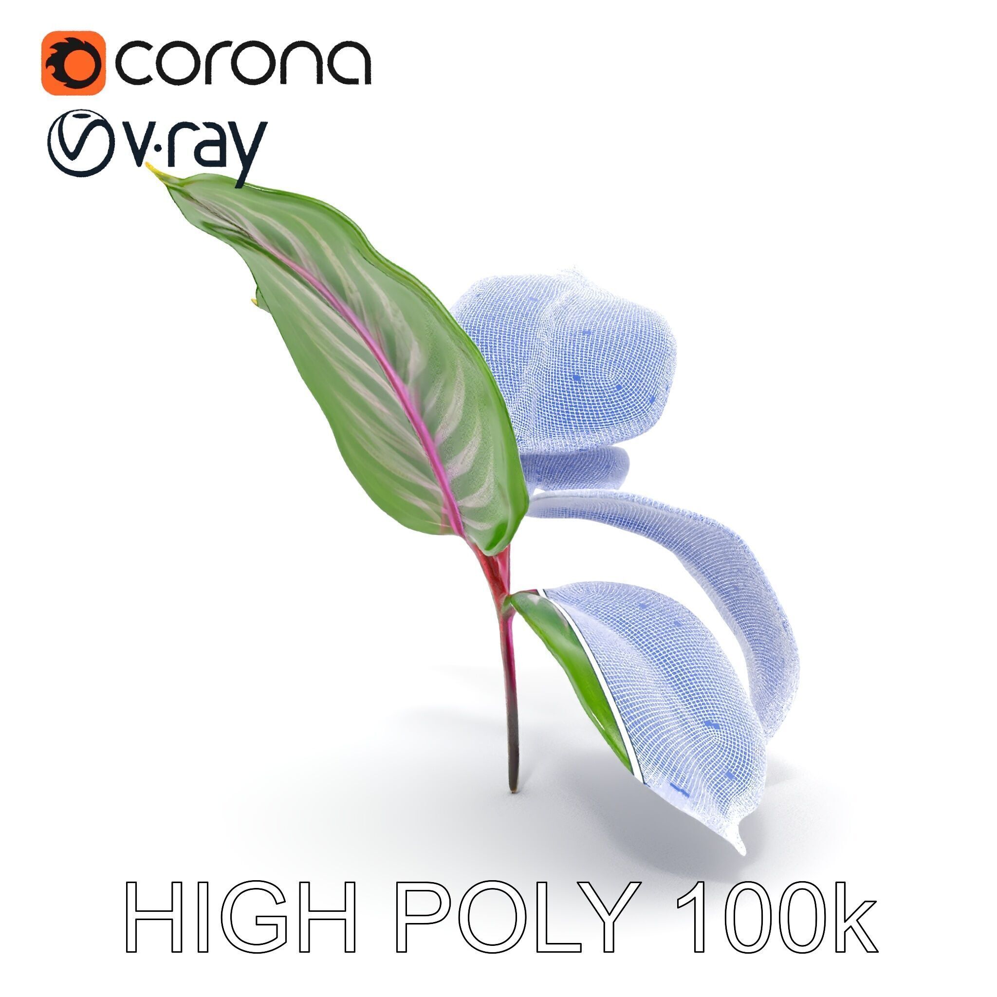 Tropical Plant Leaves Model Pack Low-poly 3D model_11