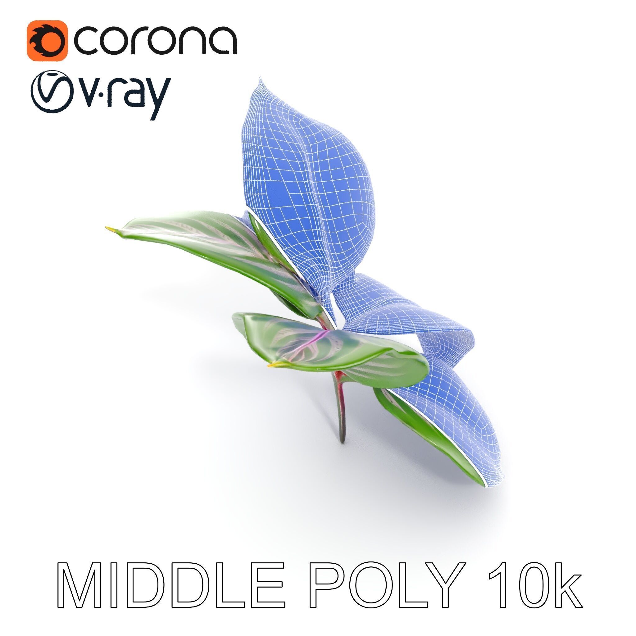 Tropical Plant Leaves Model Pack Low-poly 3D model_22