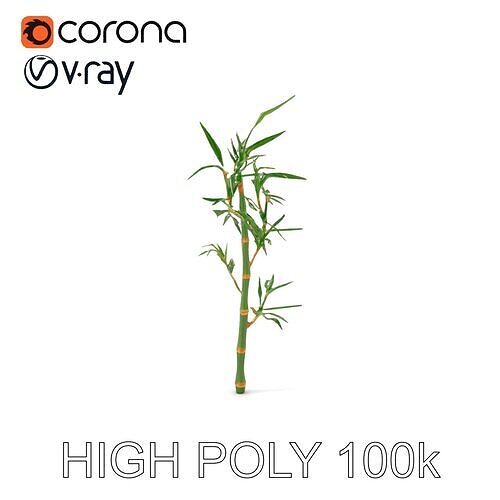 Bamboo Plant Model Pack Low-poly 3D model