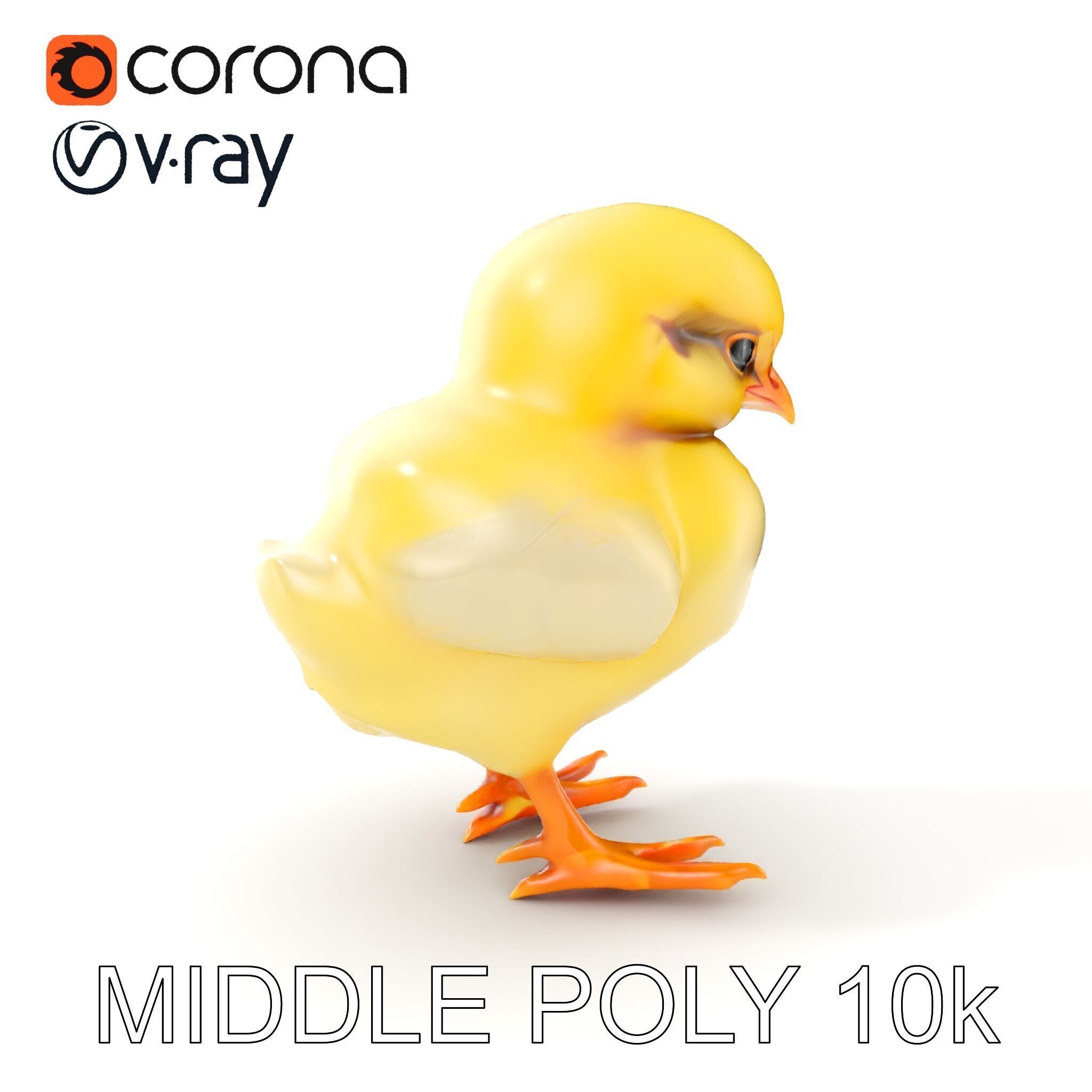 Cute Chick Model Pack with Adjustable Detail Low-poly 3D model_19
