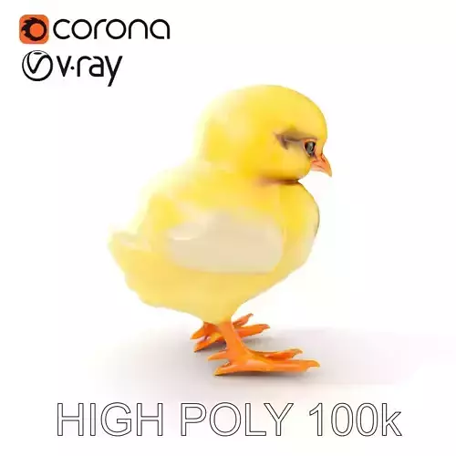 Cute Chick Model Pack with Adjustable Detail