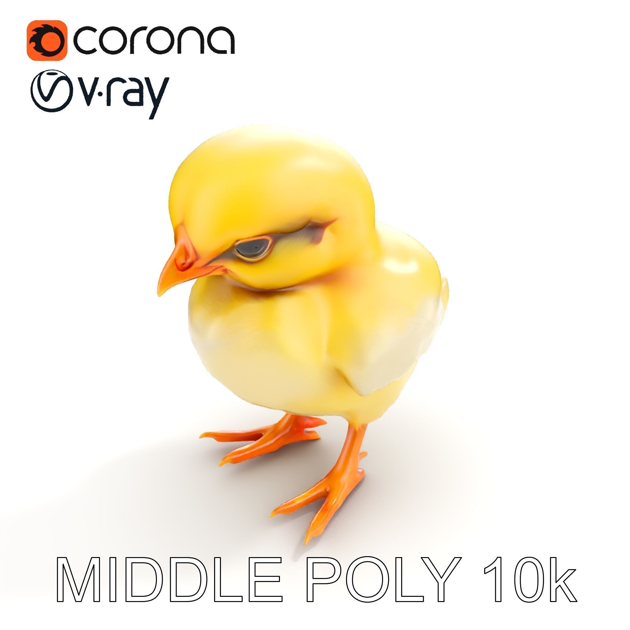 Cute Chick Model Pack with Adjustable Detail Low-poly 3D model_15