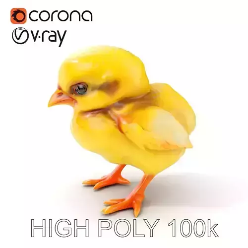 Adorable Chick Character Model Pack