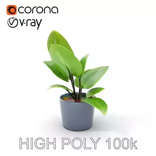 Potted Plant D Model Pack with Realistic Textures Low-poly 3D model