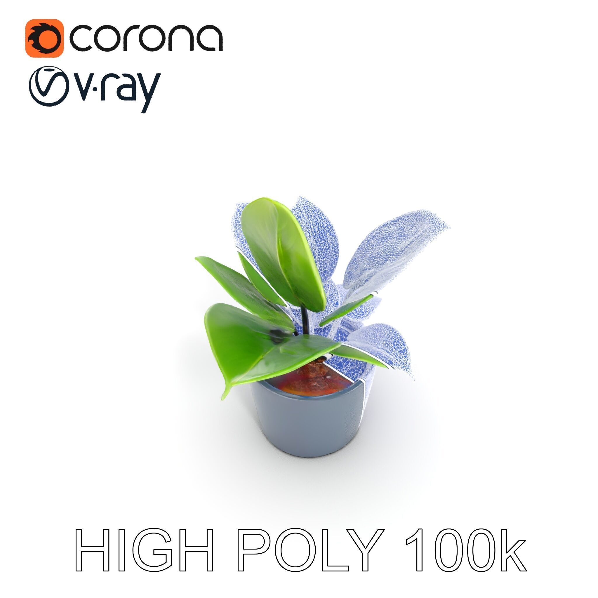Potted Plant D Model Pack with Realistic Textures Low-poly 3D model_10