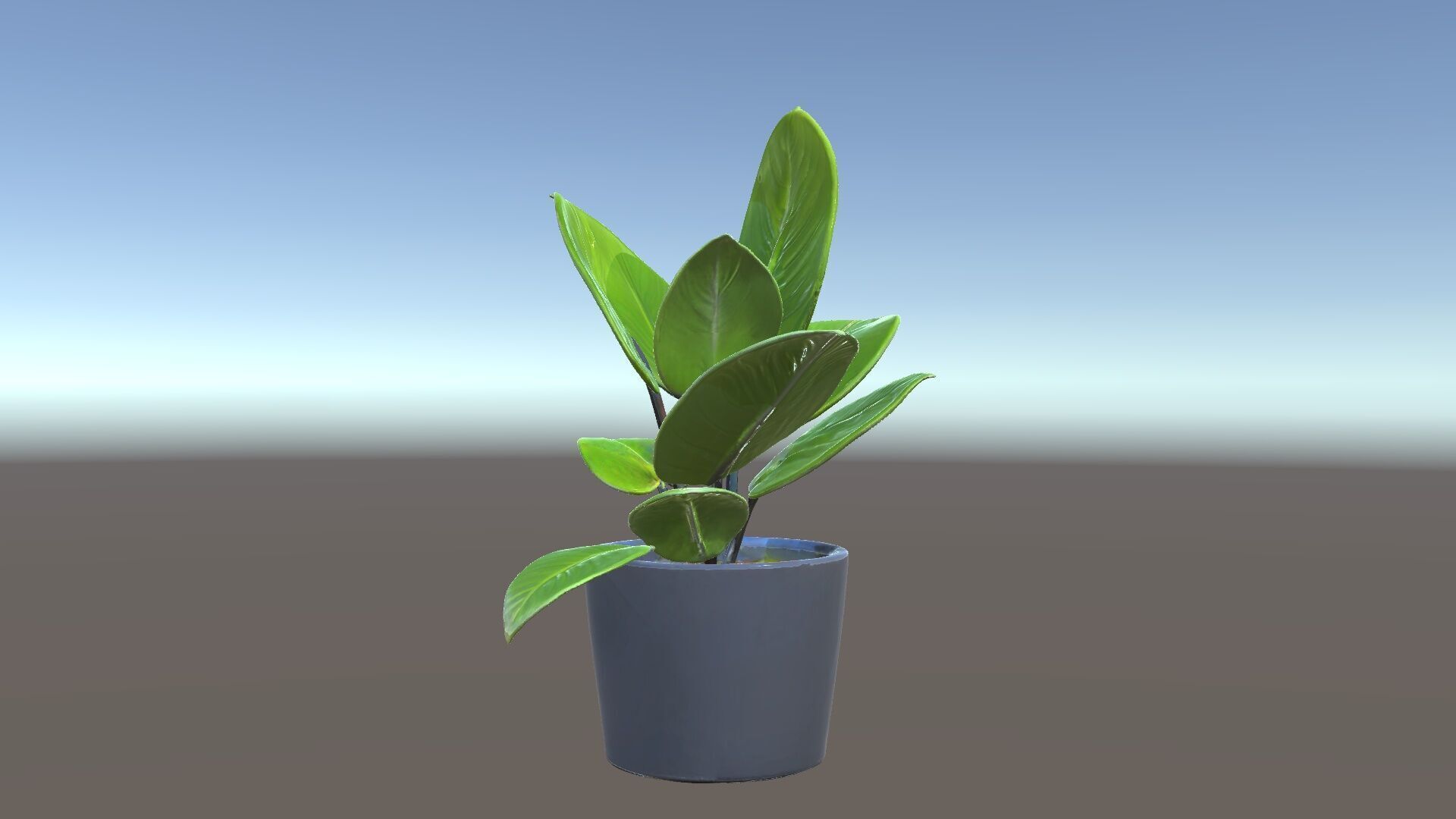 Potted Plant D Model Pack with Realistic Textures Low-poly 3D model_5