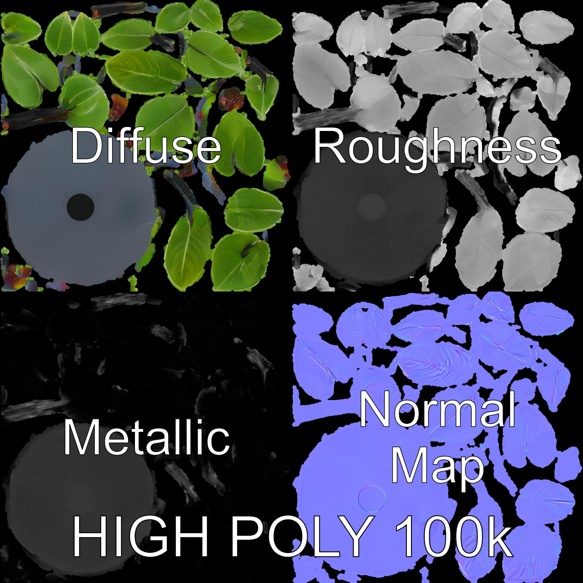 Potted Plant D Model Pack with Realistic Textures Low-poly 3D model_3