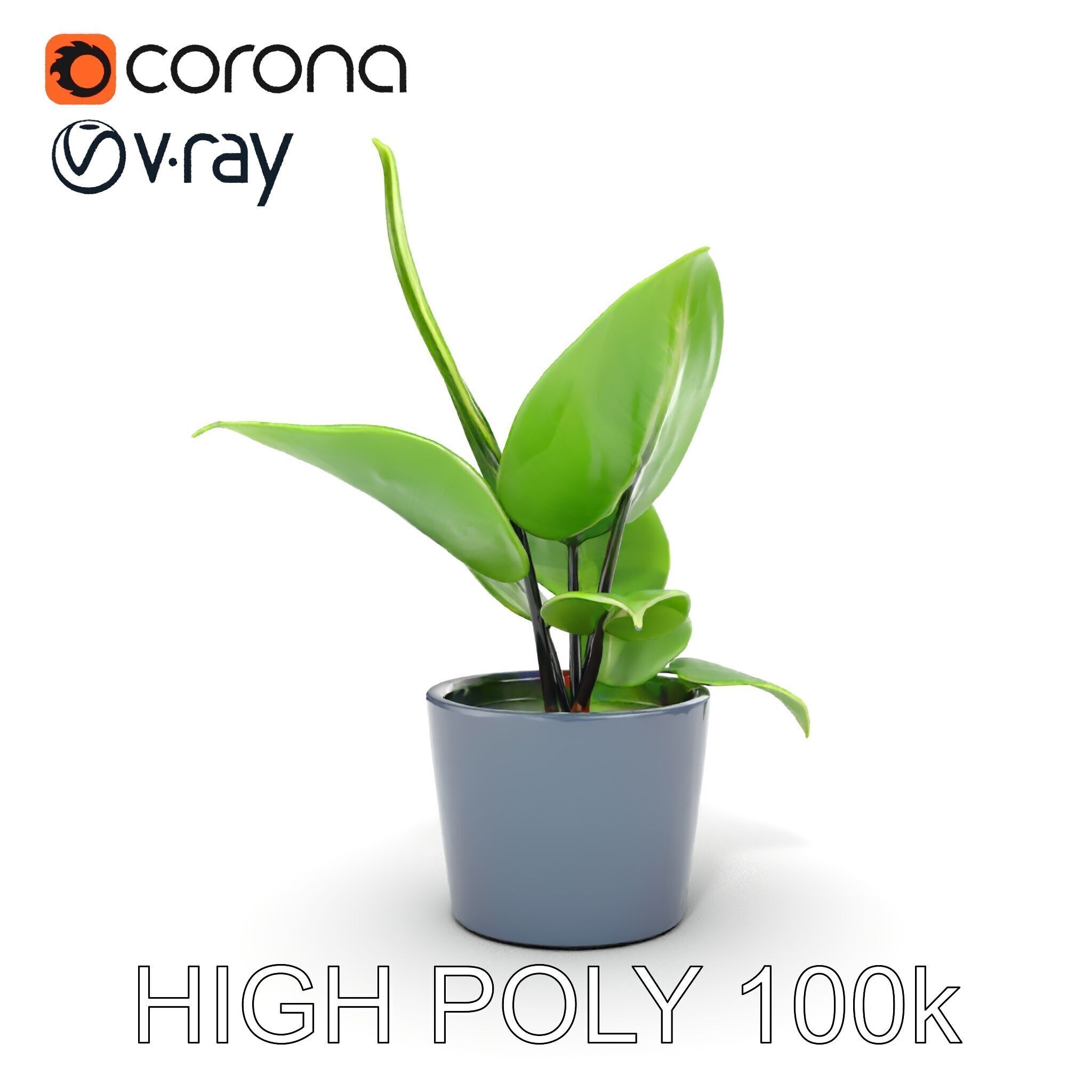 Potted Plant D Model Pack with Realistic Textures Low-poly 3D model_7