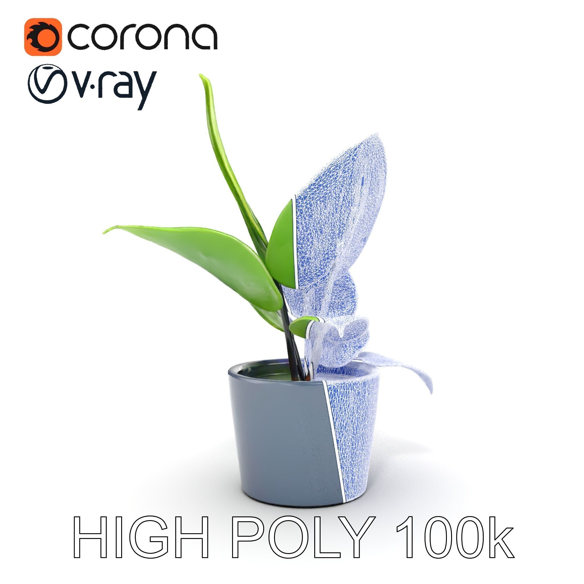 Potted Plant D Model Pack with Realistic Textures Low-poly 3D model_22