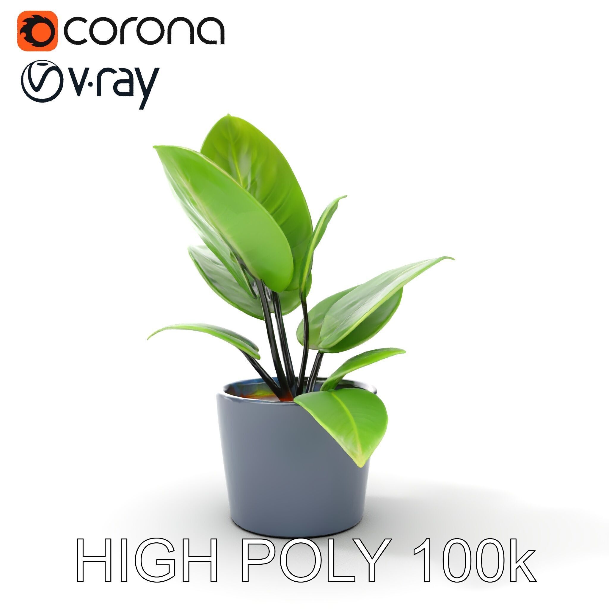 Potted Plant D Model Pack with Realistic Textures Low-poly 3D model_31