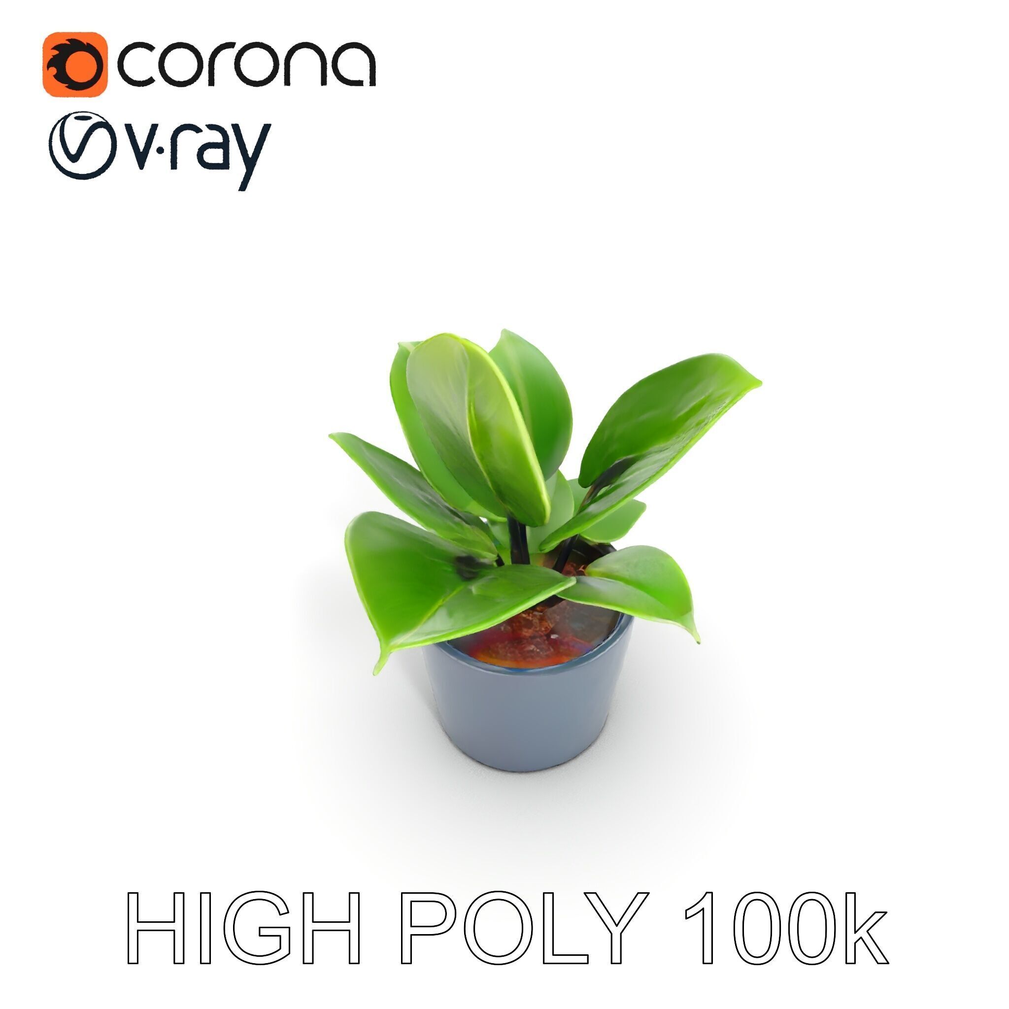 Potted Plant D Model Pack with Realistic Textures Low-poly 3D model_13