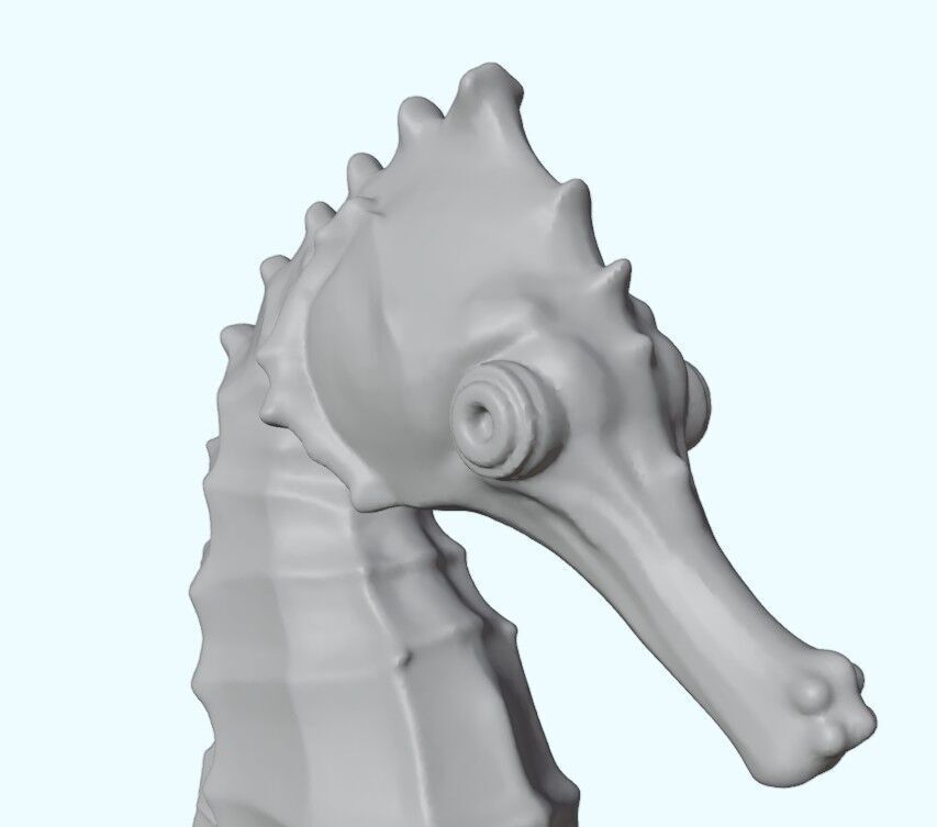 Seahorse Realistic Marine Figurine Free 3D print model_14