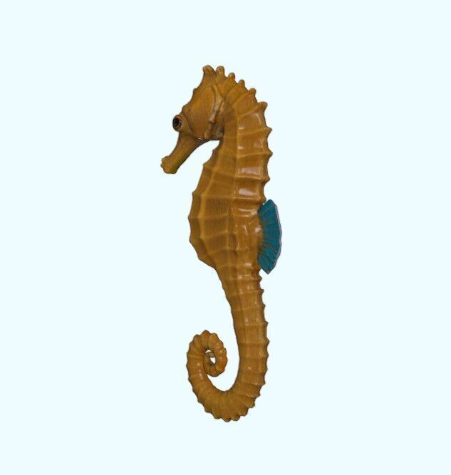 Seahorse Realistic Marine Figurine Free 3D print model_11