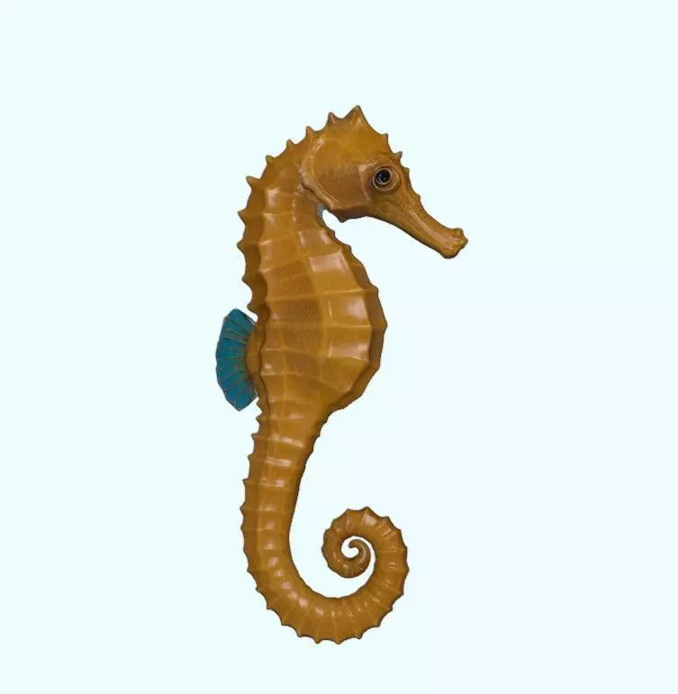 Seahorse Realistic Marine Figurine Free 3D print model_0