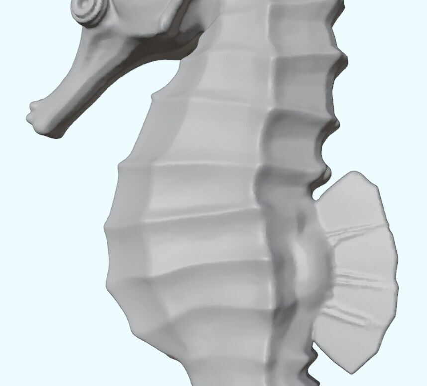 Seahorse Realistic Marine Figurine Free 3D print model_16