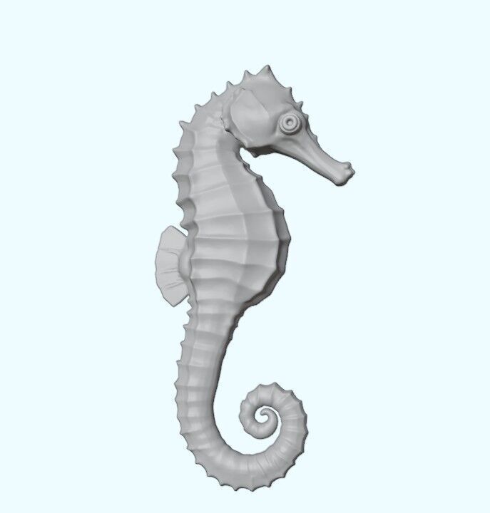 Seahorse Realistic Marine Figurine Free 3D print model_2