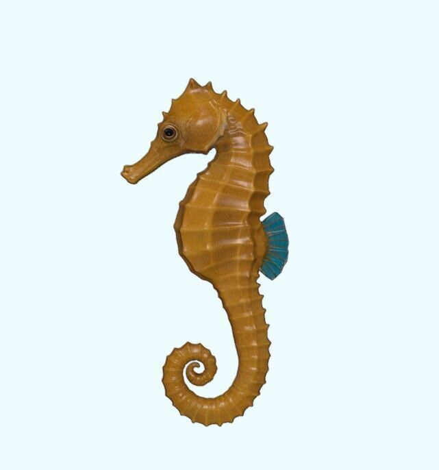 Seahorse Realistic Marine Figurine Free 3D print model_5