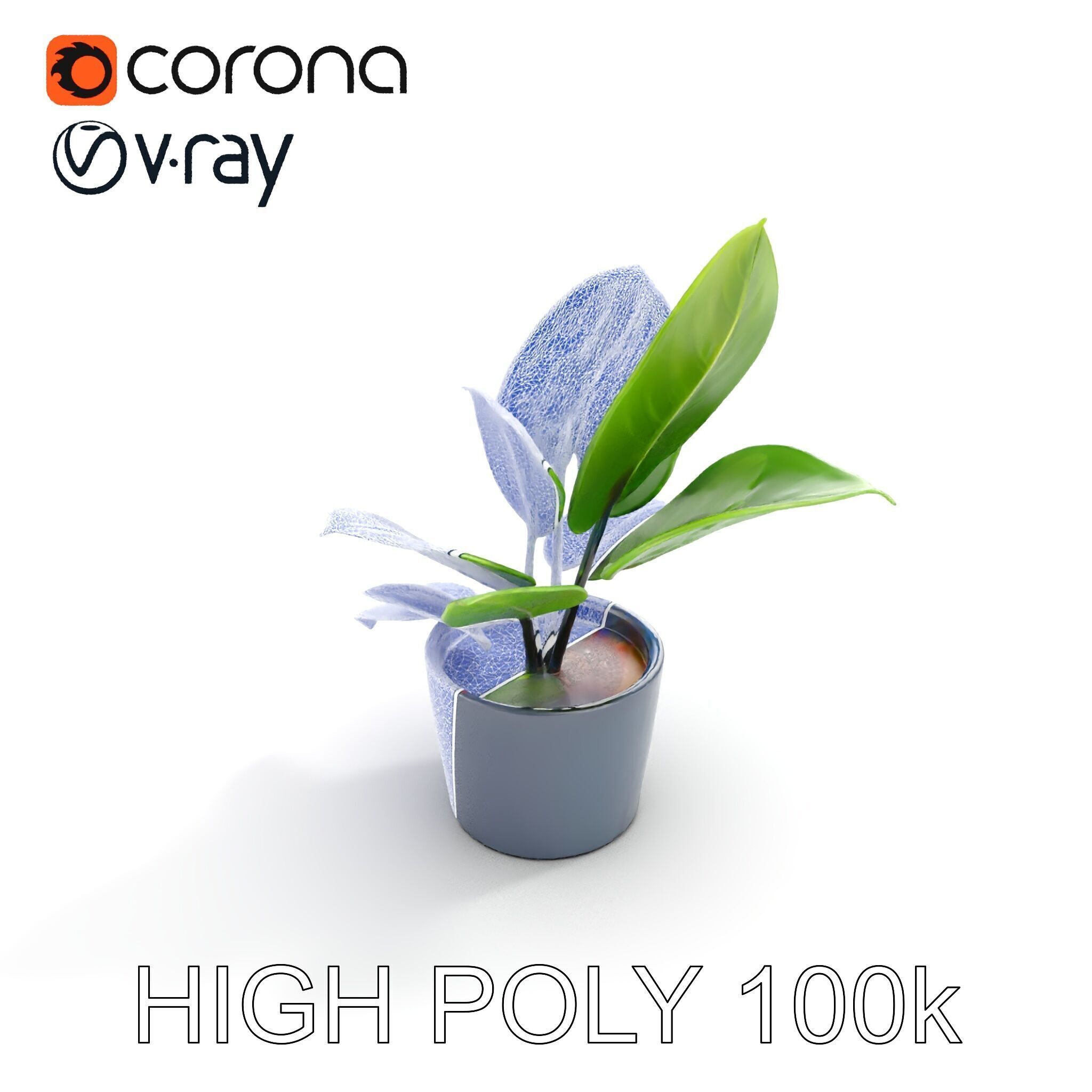 Realistic Potted Plant Model Pack Low-poly 3D model_9