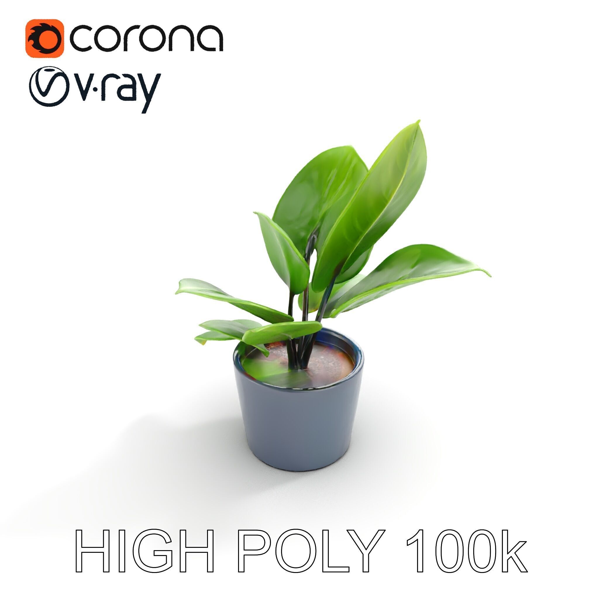Realistic Potted Plant Model Pack Low-poly 3D model_25