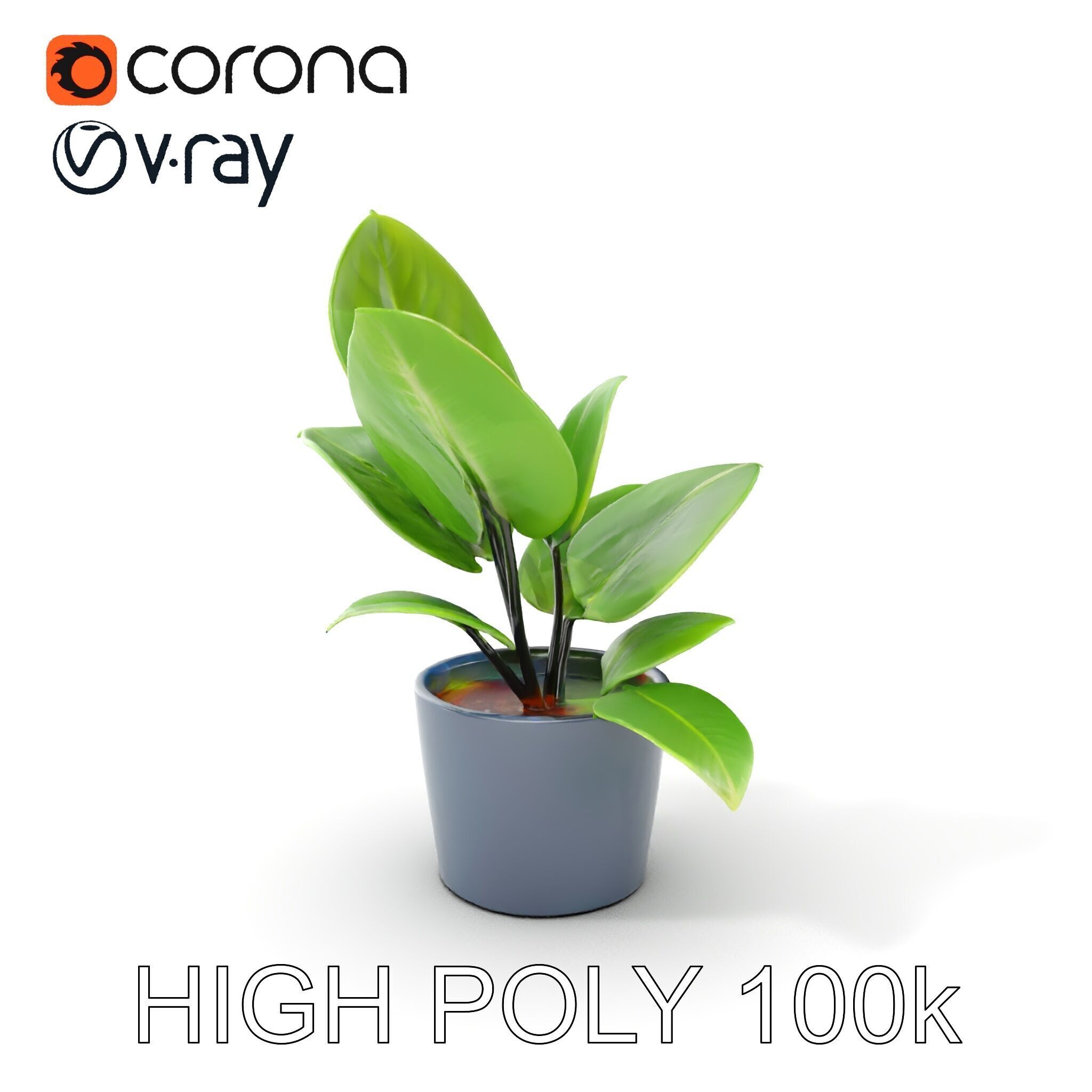 Realistic Potted Plant Model Pack Low-poly 3D model_33