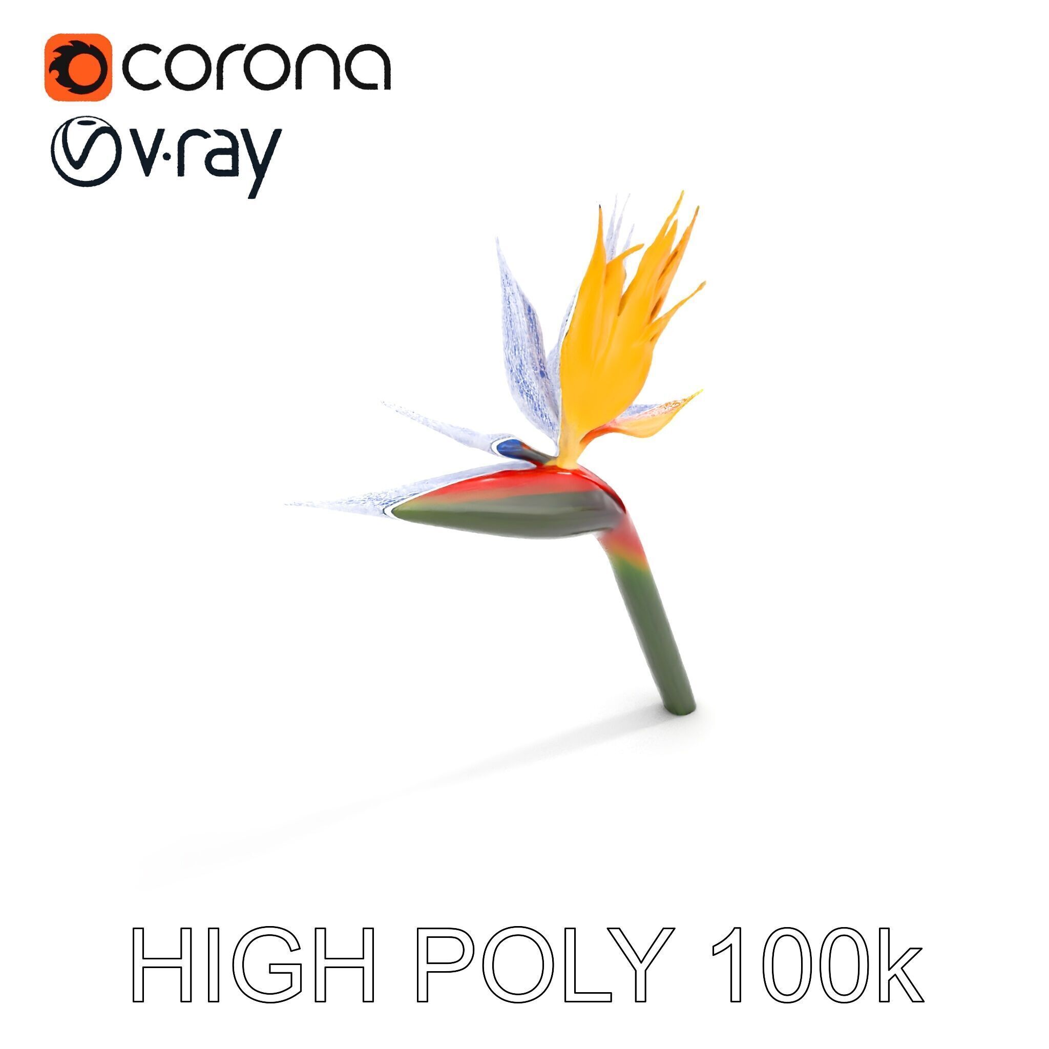 Exotic Bird of Paradise Flower Model Pack Low-poly 3D model_8