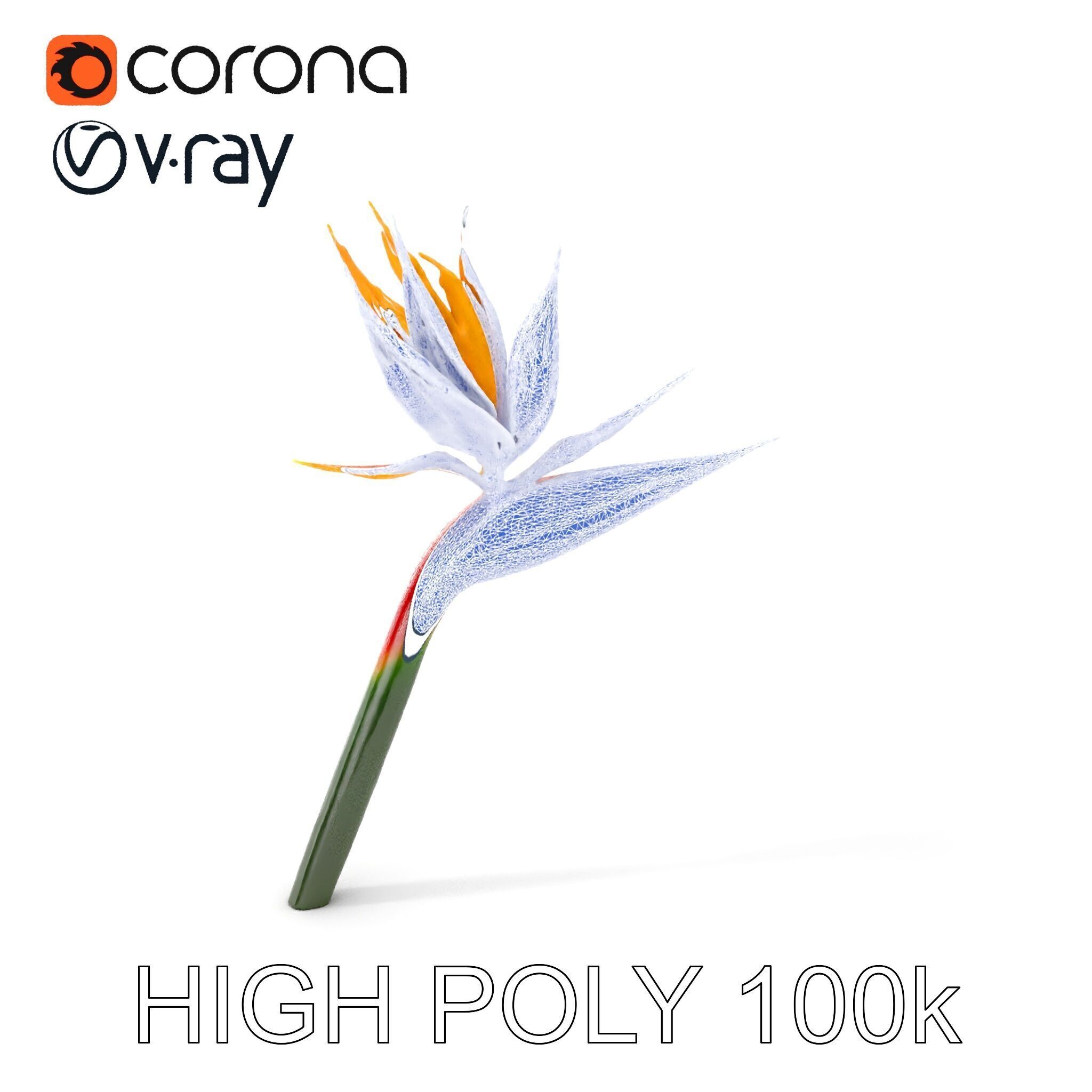 Exotic Bird of Paradise Flower Model Pack Low-poly 3D model_5
