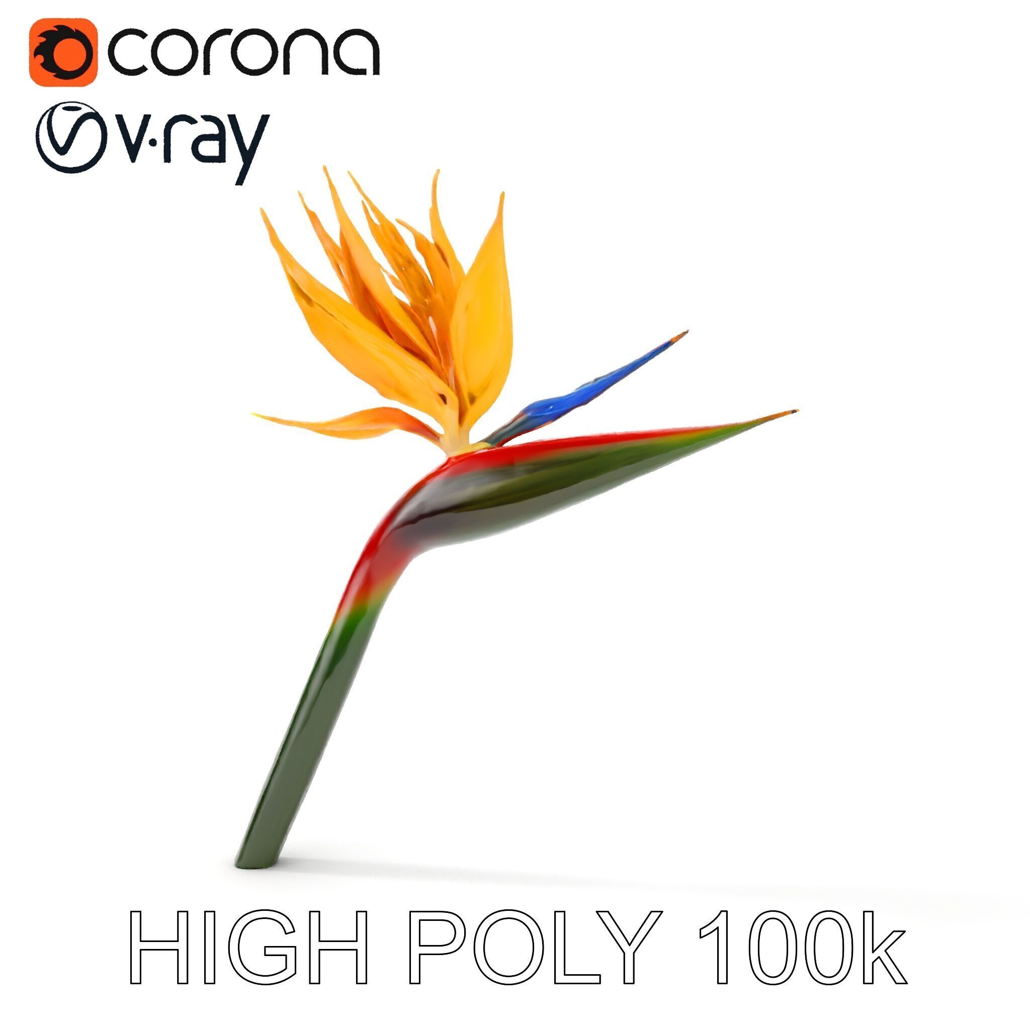 Exotic Bird of Paradise Flower Model Pack Low-poly 3D model_13